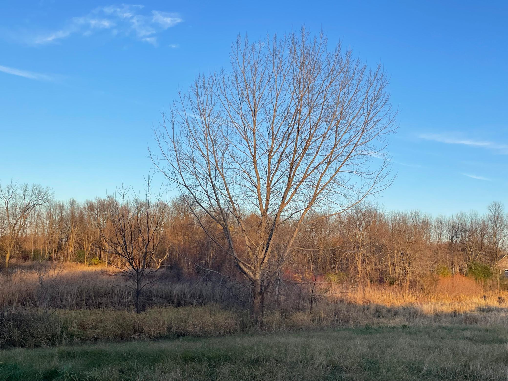 land for sale at Lot 11 Block 1 Donway Place NE in Alexandria, MN (photo 3 of 8)