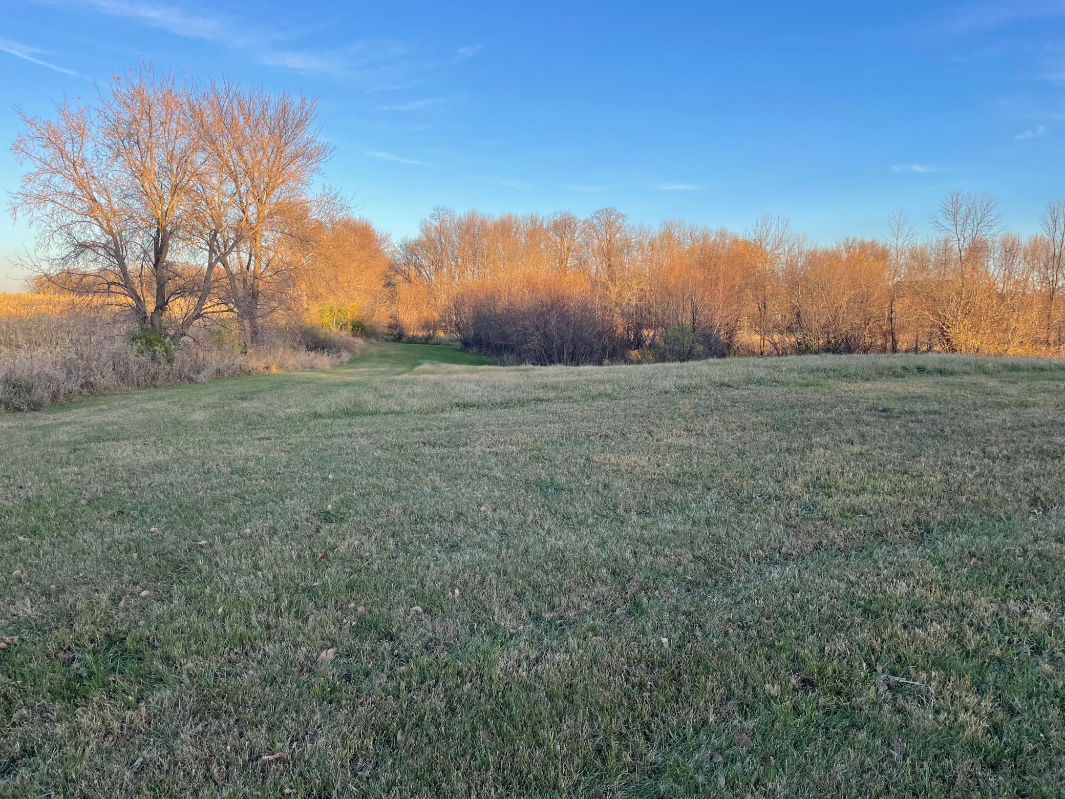 land for sale at Lot 14 Block 1 Donway Place NE in Alexandria, MN (photo 3 of 8)