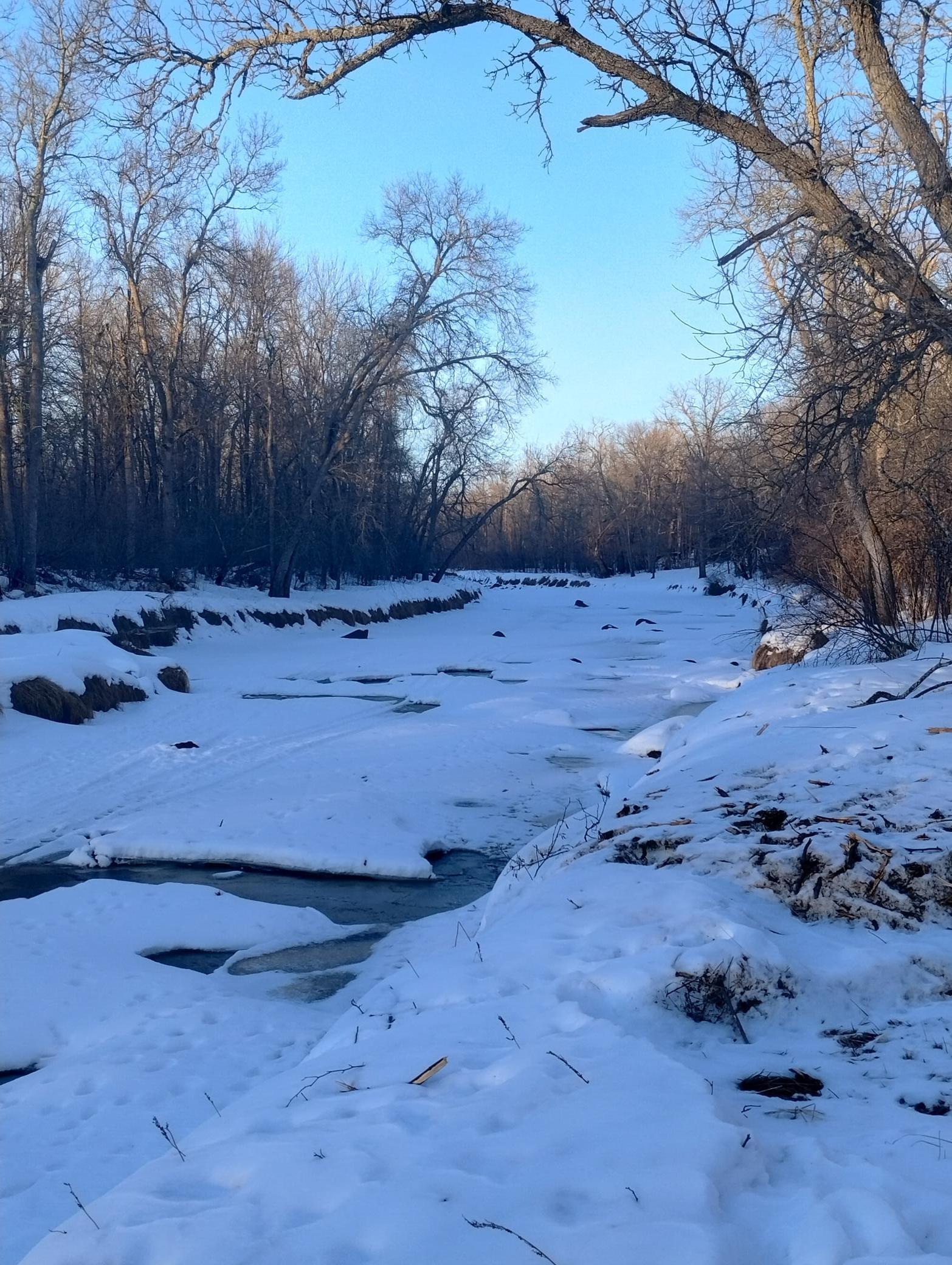 land for sale at 13649 188th Place in Mc Grath, MN (photo 2 of 24)