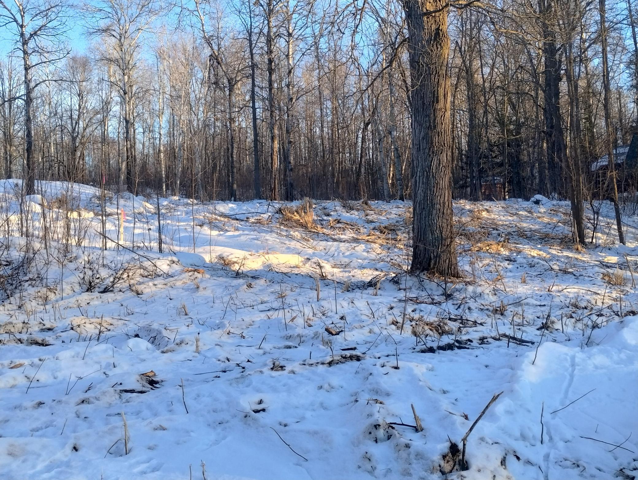 land for sale at 13649 188th Place in Mc Grath, MN (photo 12 of 24)