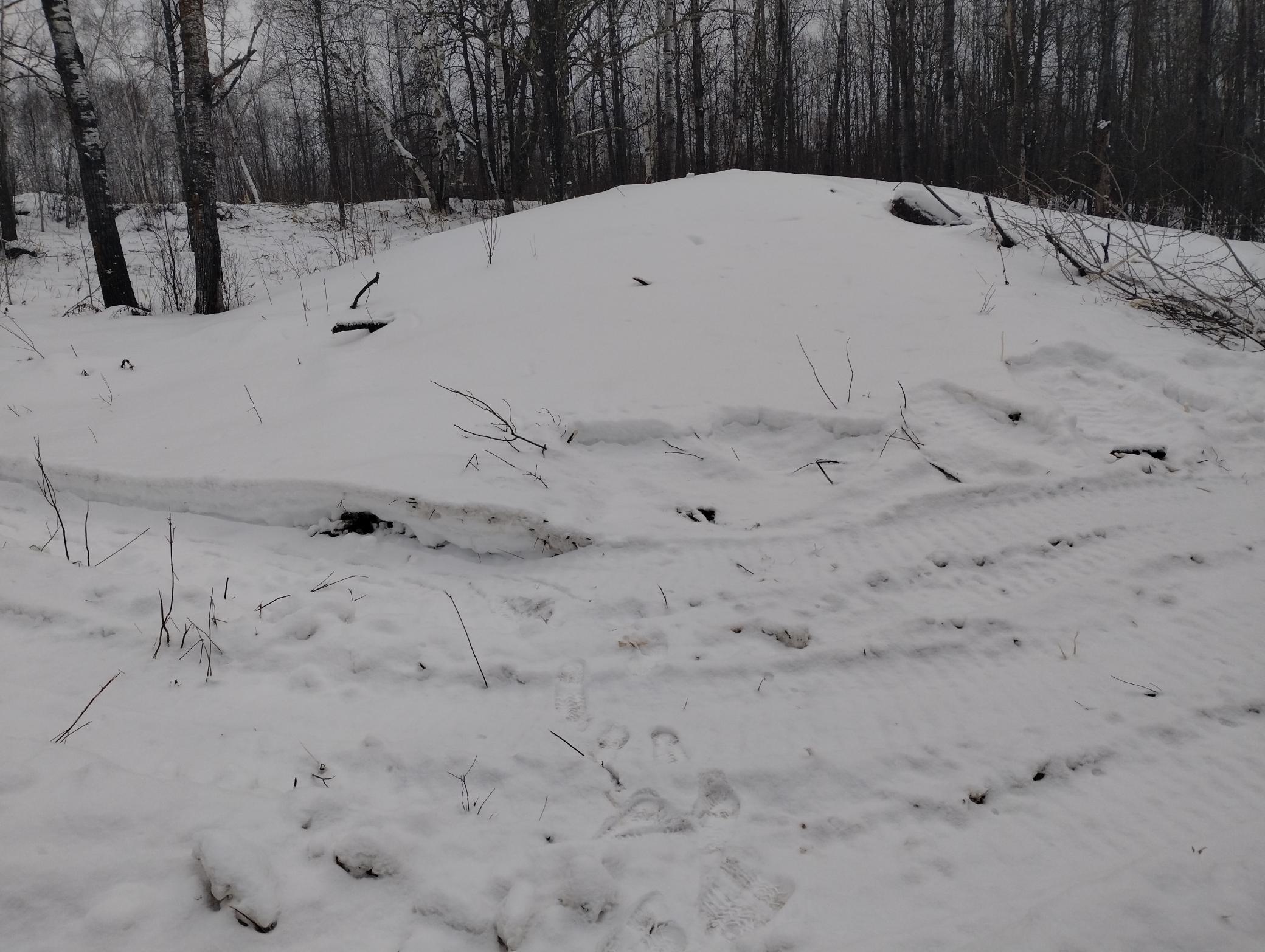 land for sale at 13649 188th Place in Mc Grath, MN (photo 17 of 24)
