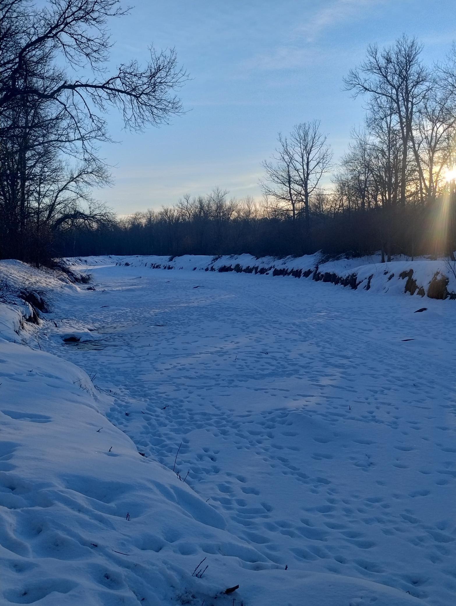 land for sale at 13649 188th Place in Mc Grath, MN (photo 3 of 24)