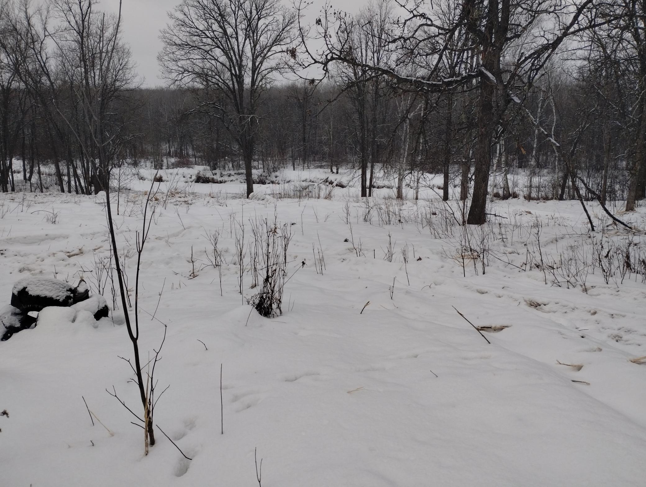 land for sale at 13649 188th Place in Mc Grath, MN (photo 23 of 24)