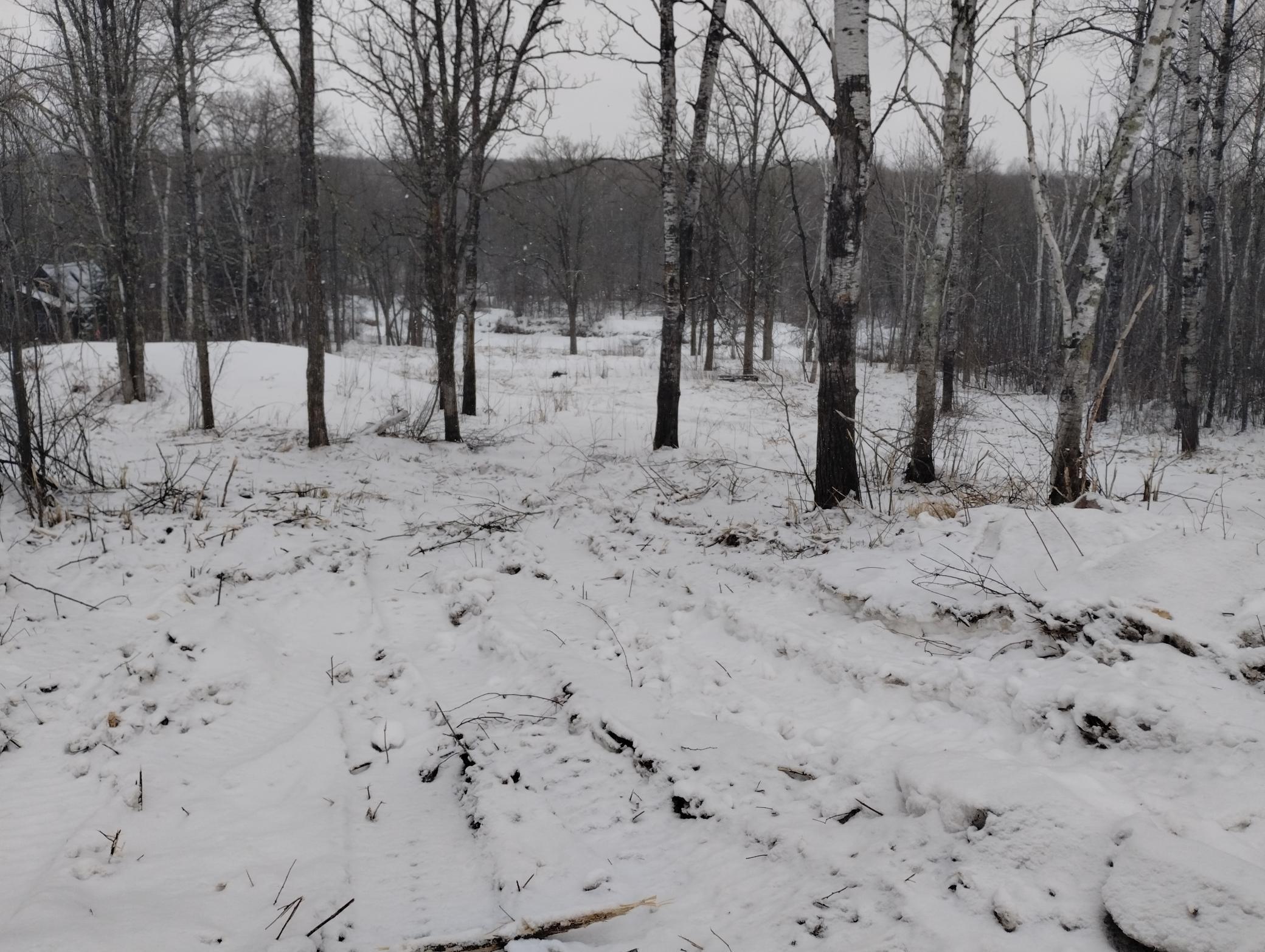 land for sale at 13649 188th Place in Mc Grath, MN (photo 24 of 24)