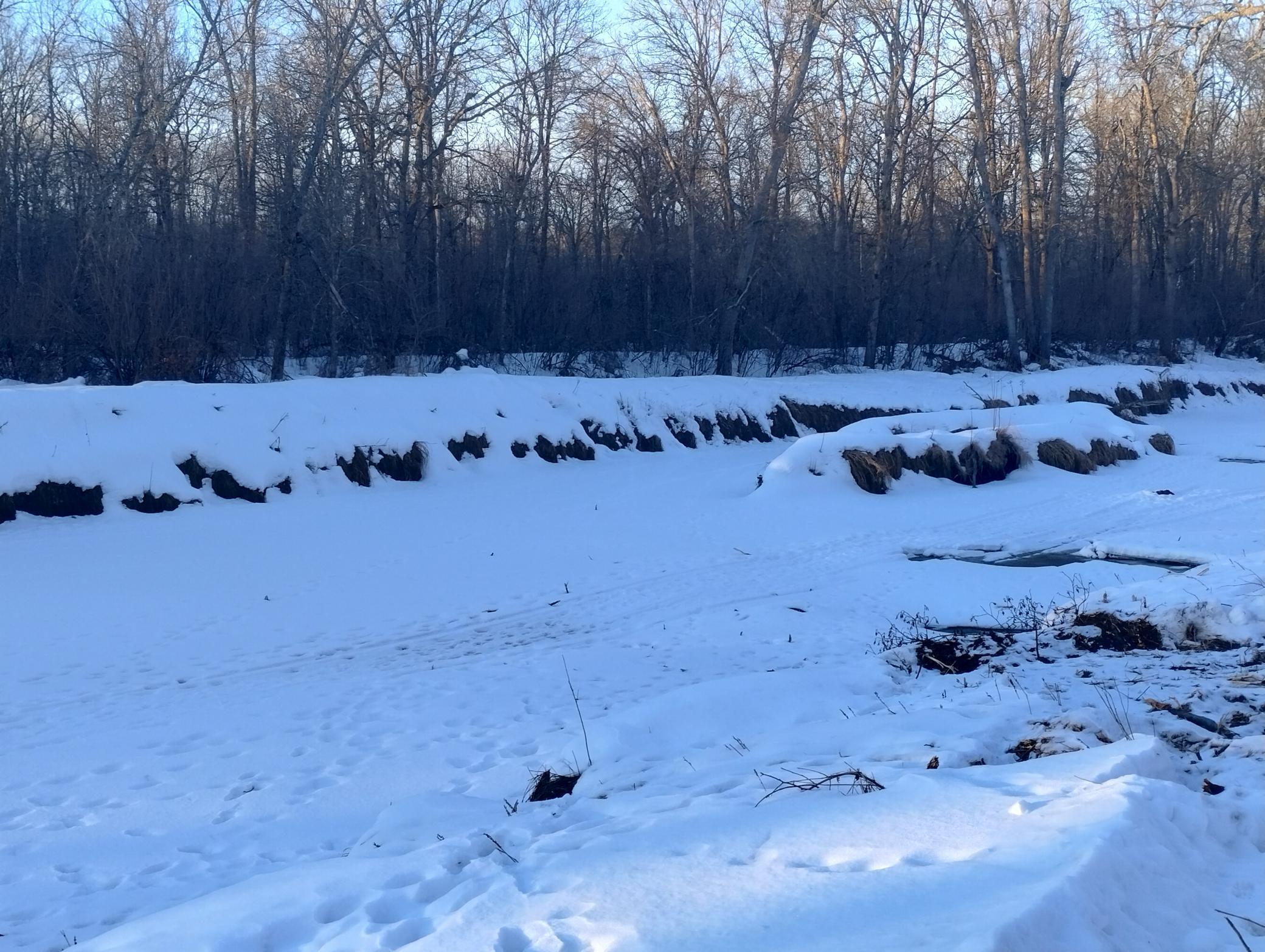 land for sale at 13649 188th Place in Mc Grath, MN (photo 4 of 24)