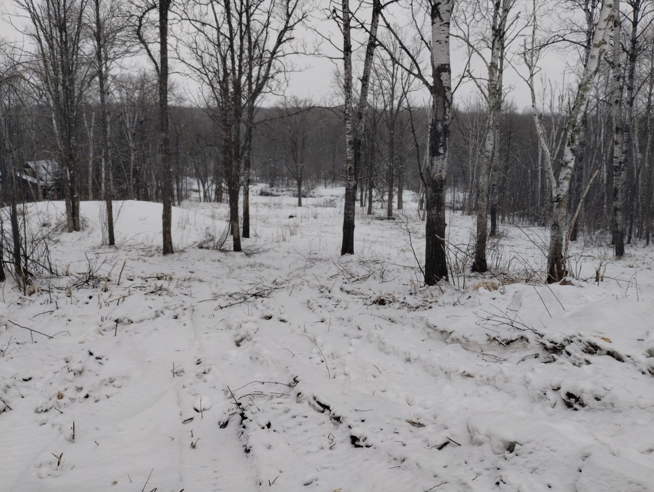 land for sale at 13649 188th Place in Mc Grath, MN (photo 5 of 24)