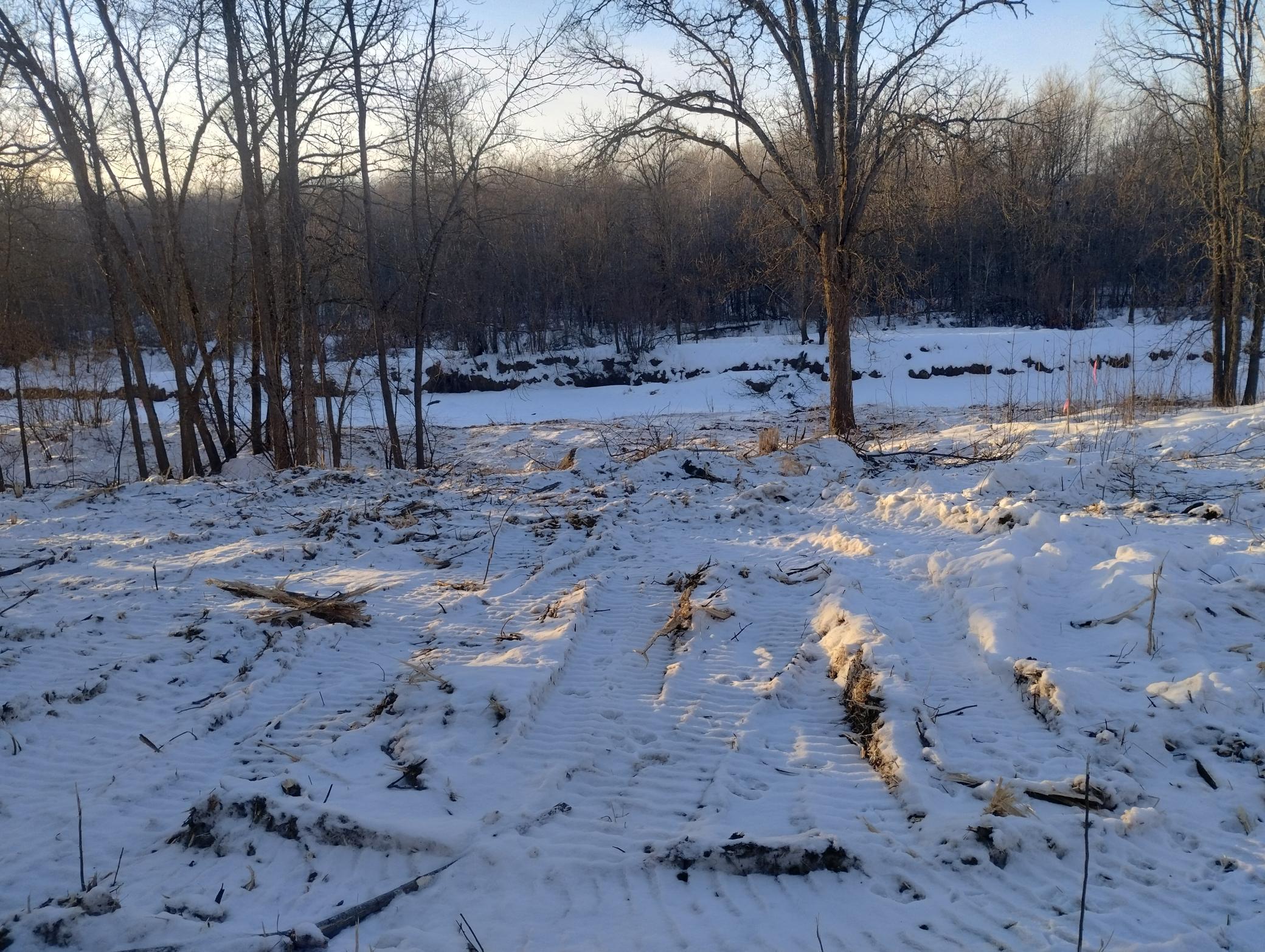 land for sale at 13649 188th Place in Mc Grath, MN (photo 7 of 24)