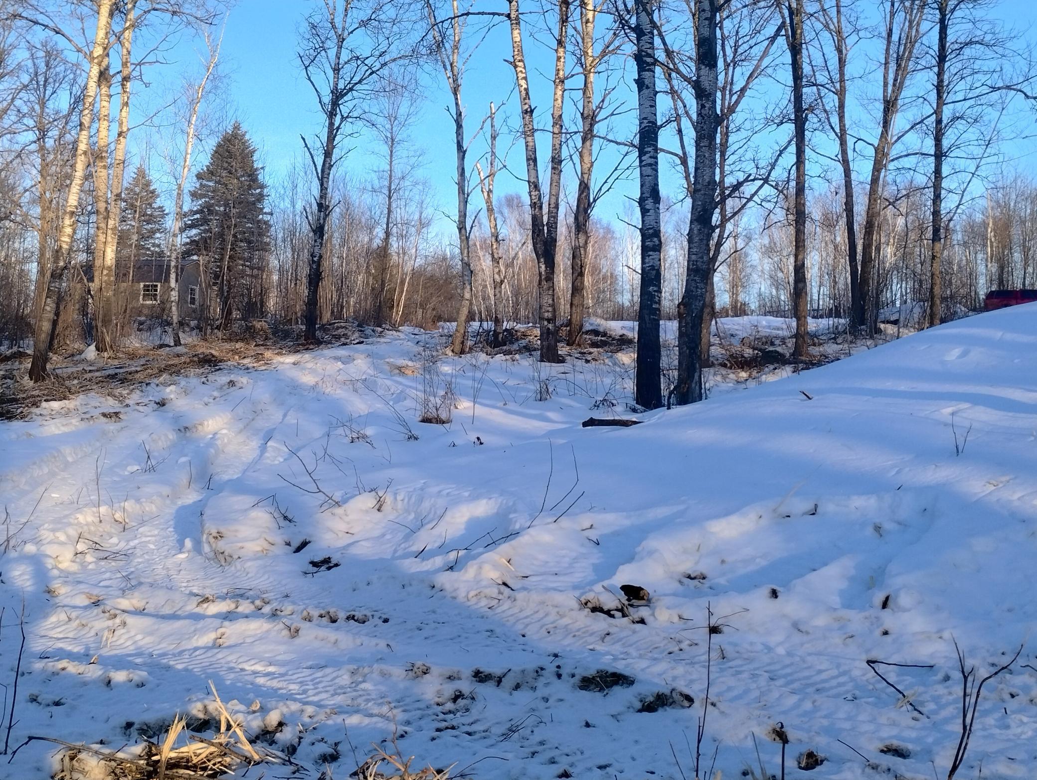 land for sale at 13649 188th Place in Mc Grath, MN (photo 10 of 24)