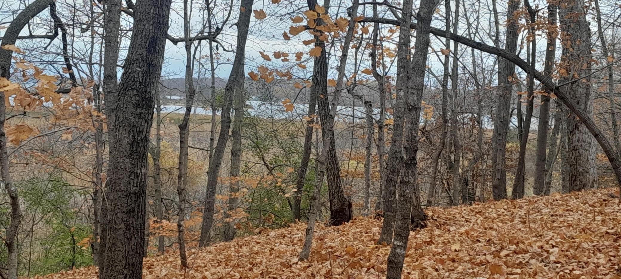land for sale at 220th 220th Street in Clitherall, MN (photo 2 of 15)