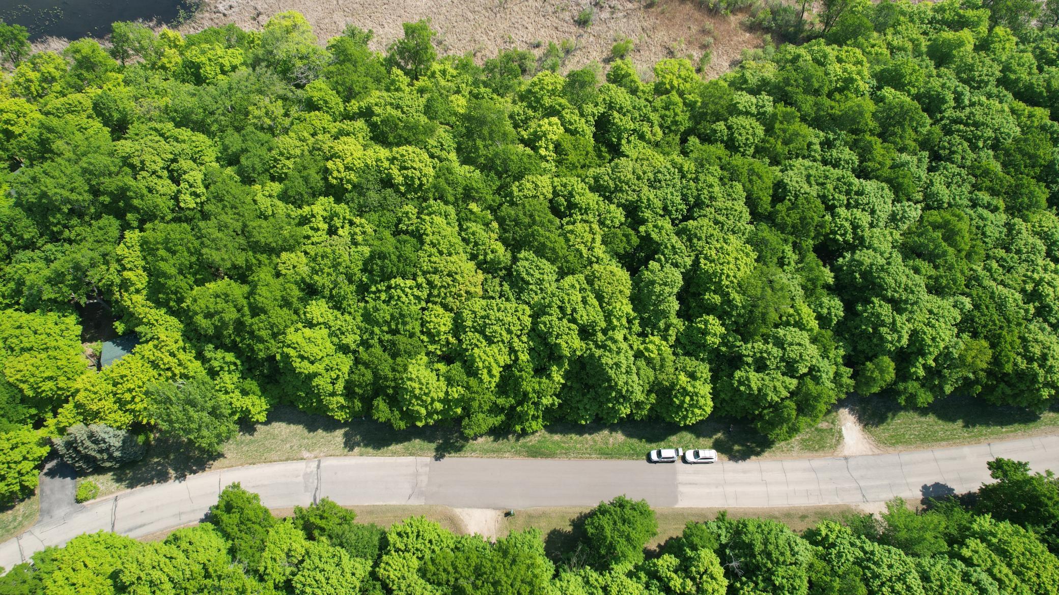 land for sale at 220th 220th Street in Clitherall, MN (photo 11 of 15)