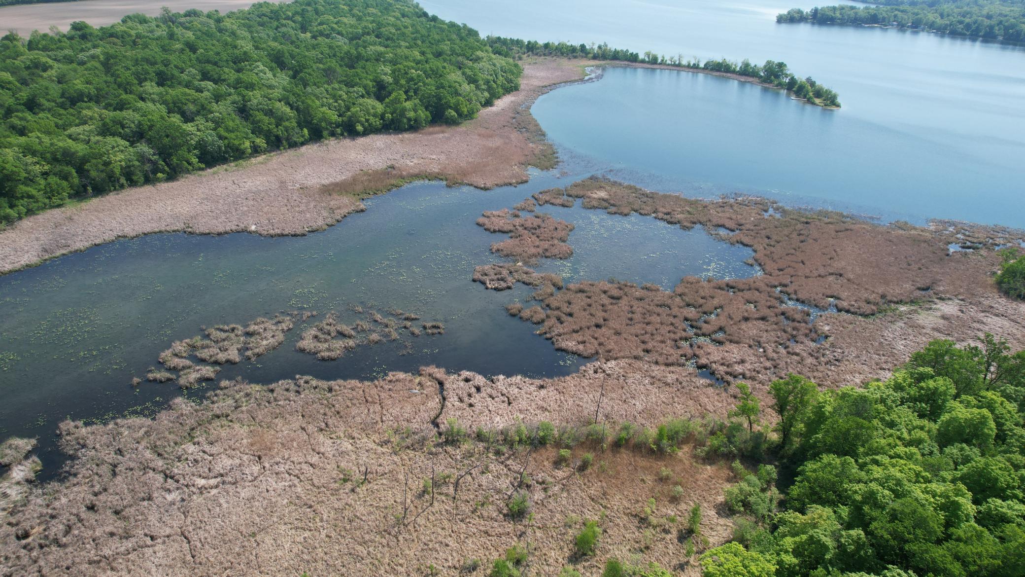 land for sale at 220th 220th Street in Clitherall, MN (photo 12 of 15)