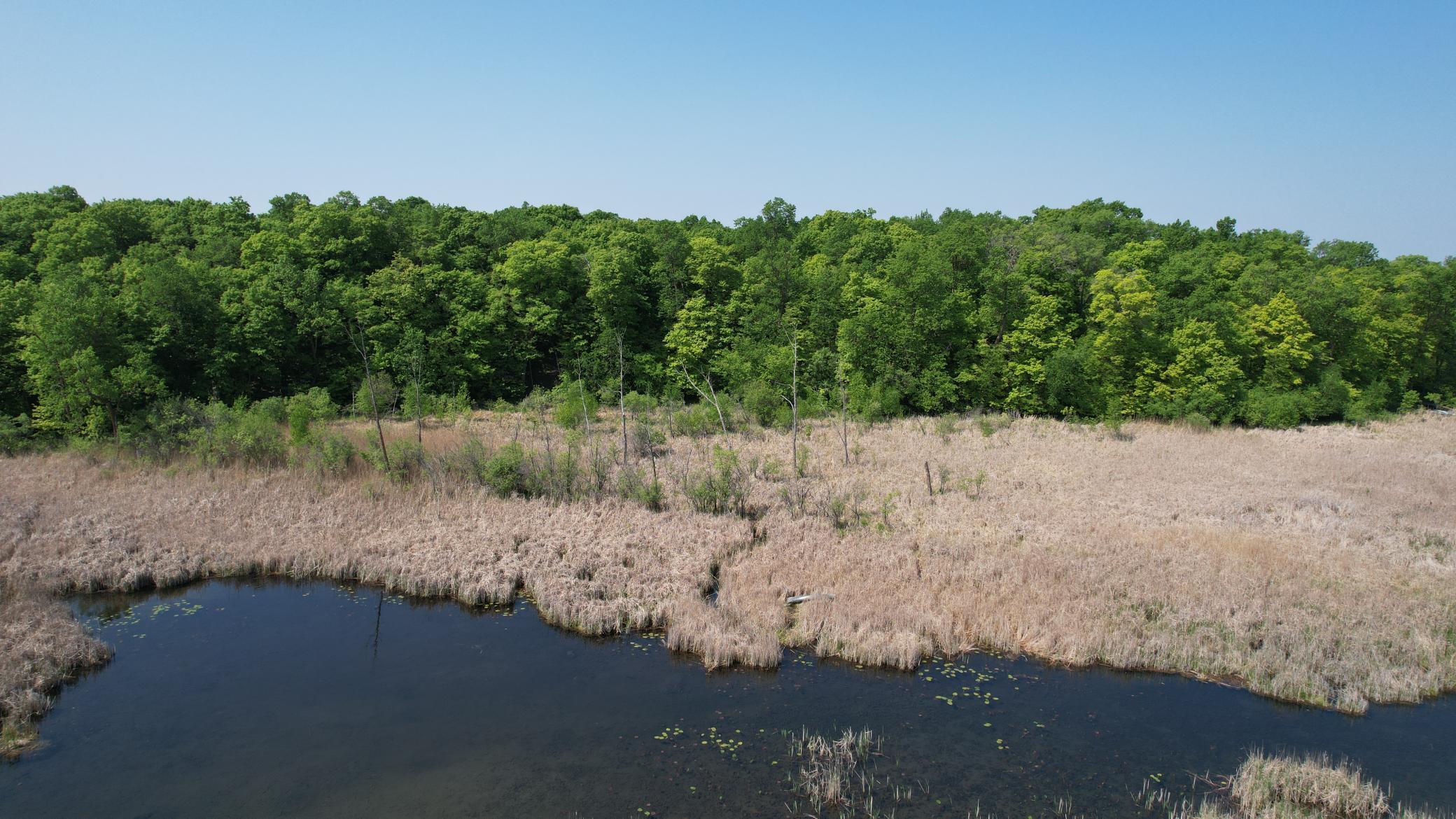 land for sale at 220th 220th Street in Clitherall, MN (photo 13 of 15)