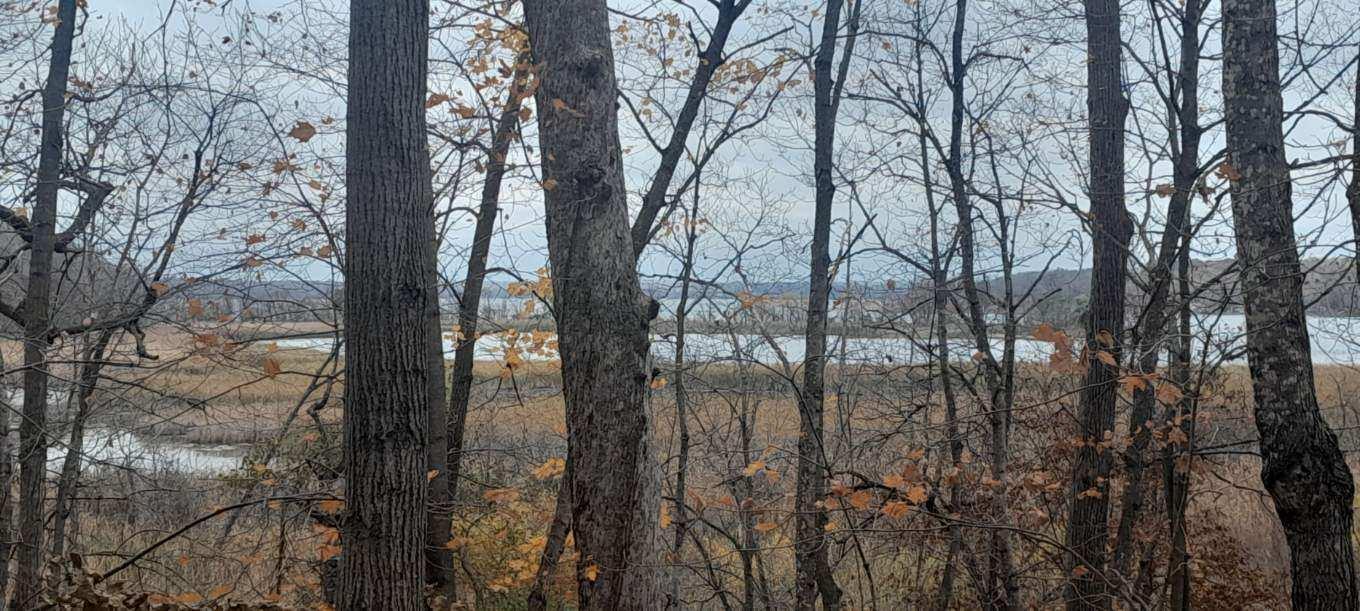 land for sale at 220th 220th Street in Clitherall, MN (photo 3 of 15)