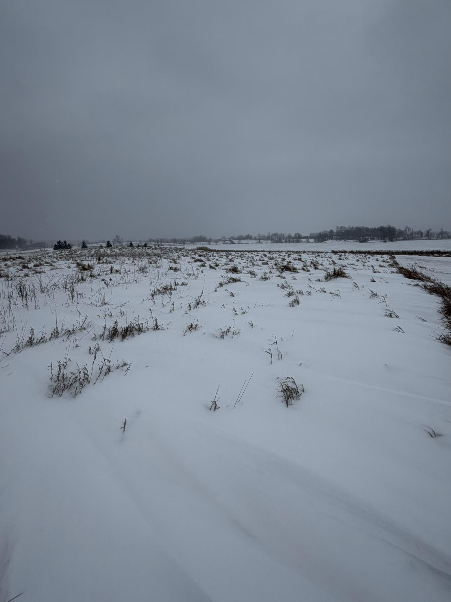 land for sale at TBD 395th in Dent, MN