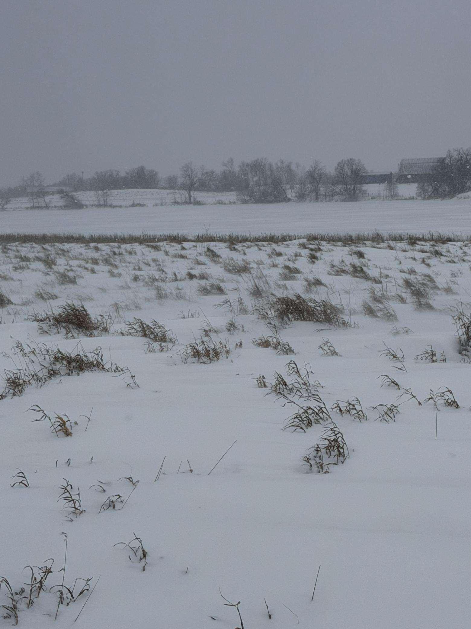 land for sale at TBD 395th in Dent, MN (photo 2 of 7)