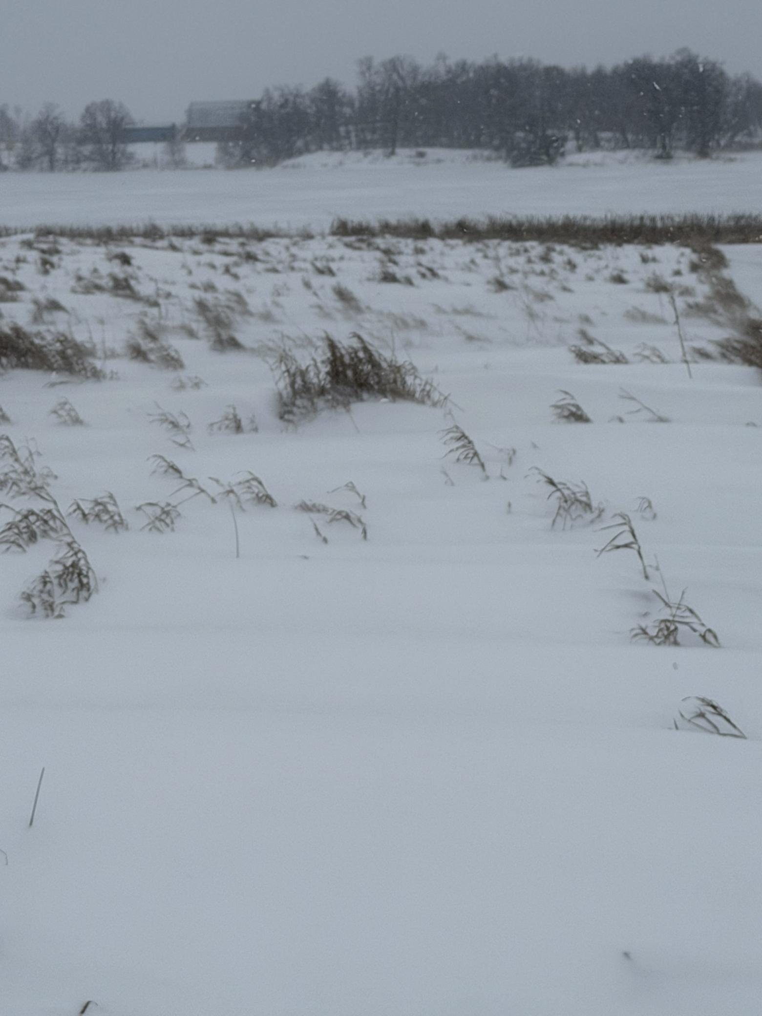 land for sale at TBD 395th in Dent, MN (photo 3 of 7)