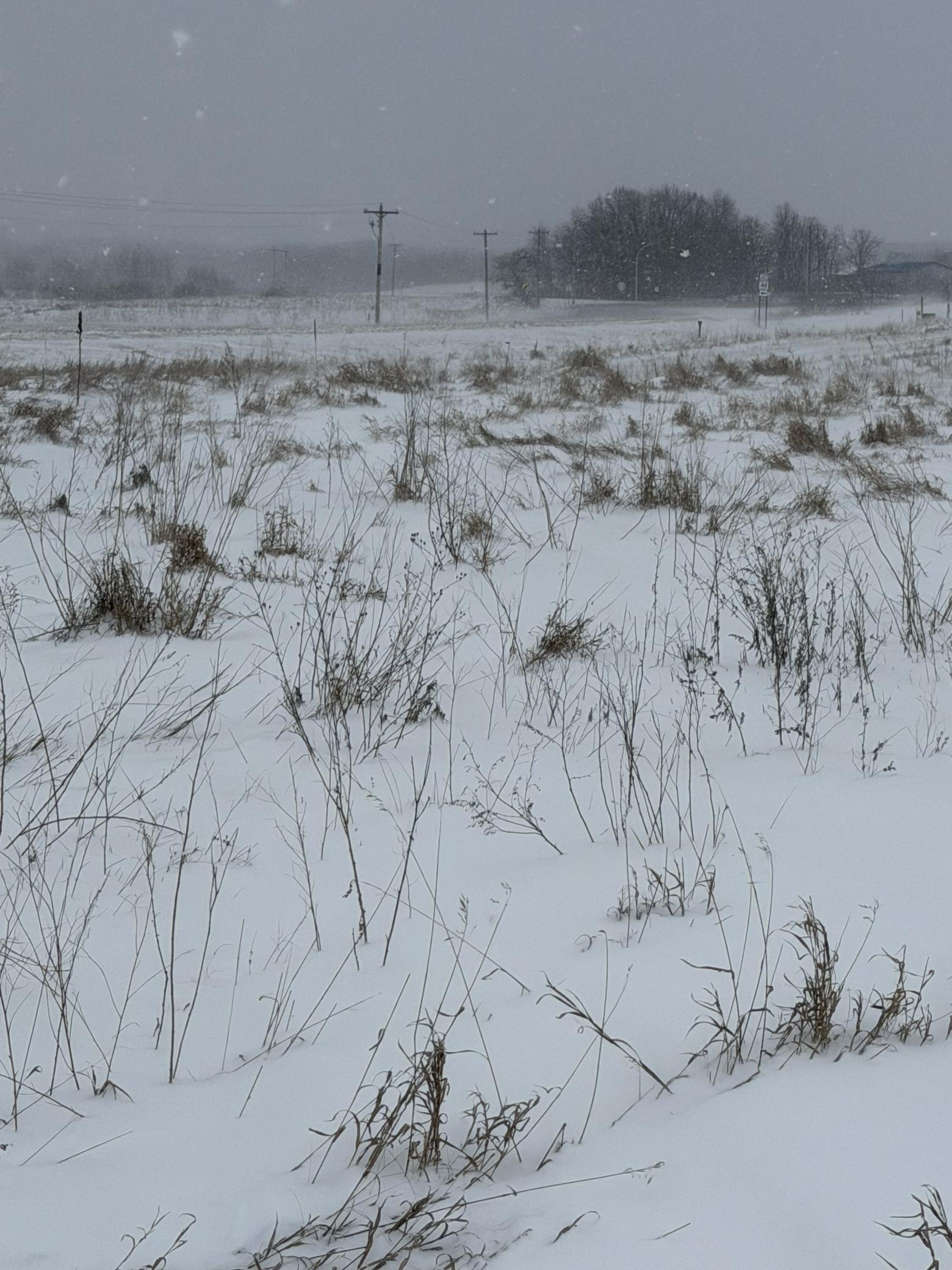 land for sale at TBD 395th in Dent, MN (photo 4 of 7)
