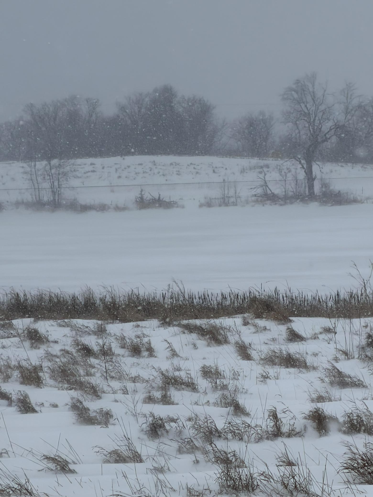 land for sale at TBD 395th in Dent, MN (photo 7 of 7)