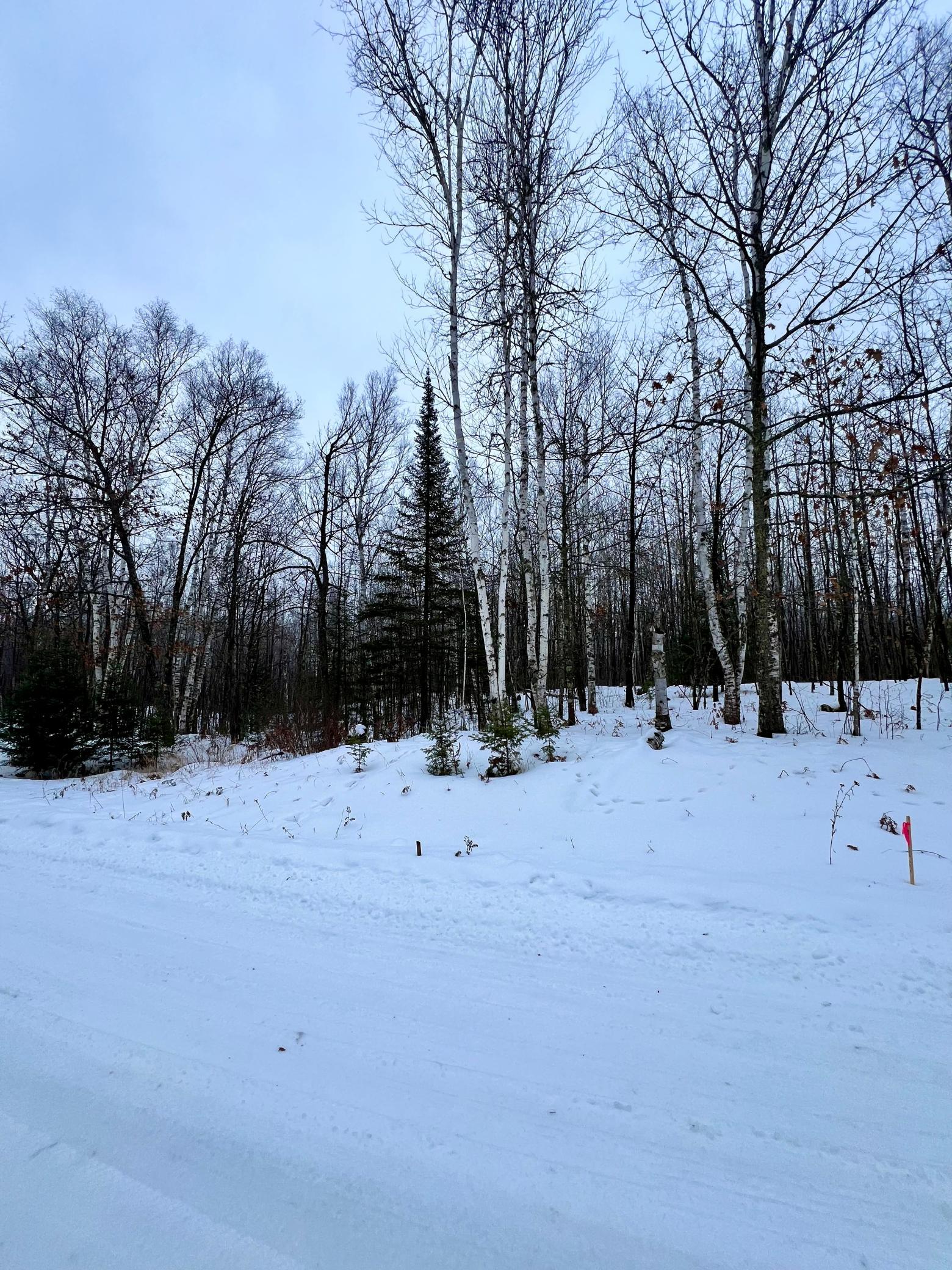 land for sale at TBD Baich Dr in Coleraine, MN (photo 12 of 16)