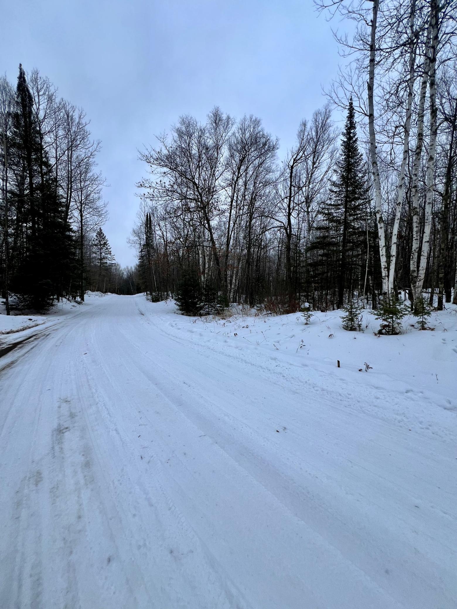 land for sale at TBD Baich Dr in Coleraine, MN (photo 3 of 16)