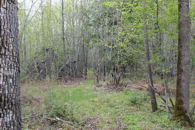 TBD COUNTY RD 19, Deer River MN 56636 - Photo 11 of 21