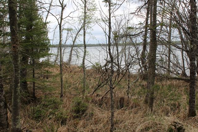 TBD COUNTY RD 19, Deer River MN 56636 - Photo 3 of 21
