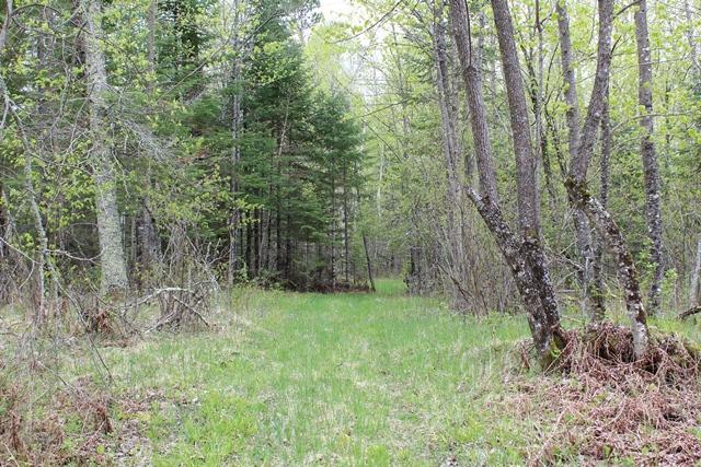 TBD COUNTY RD 19, Deer River MN 56636 - Photo 4 of 21