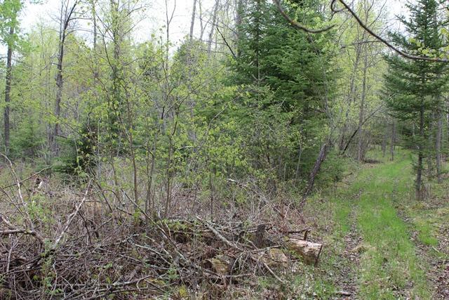 TBD COUNTY RD 19, Deer River MN 56636 - Photo 5 of 21