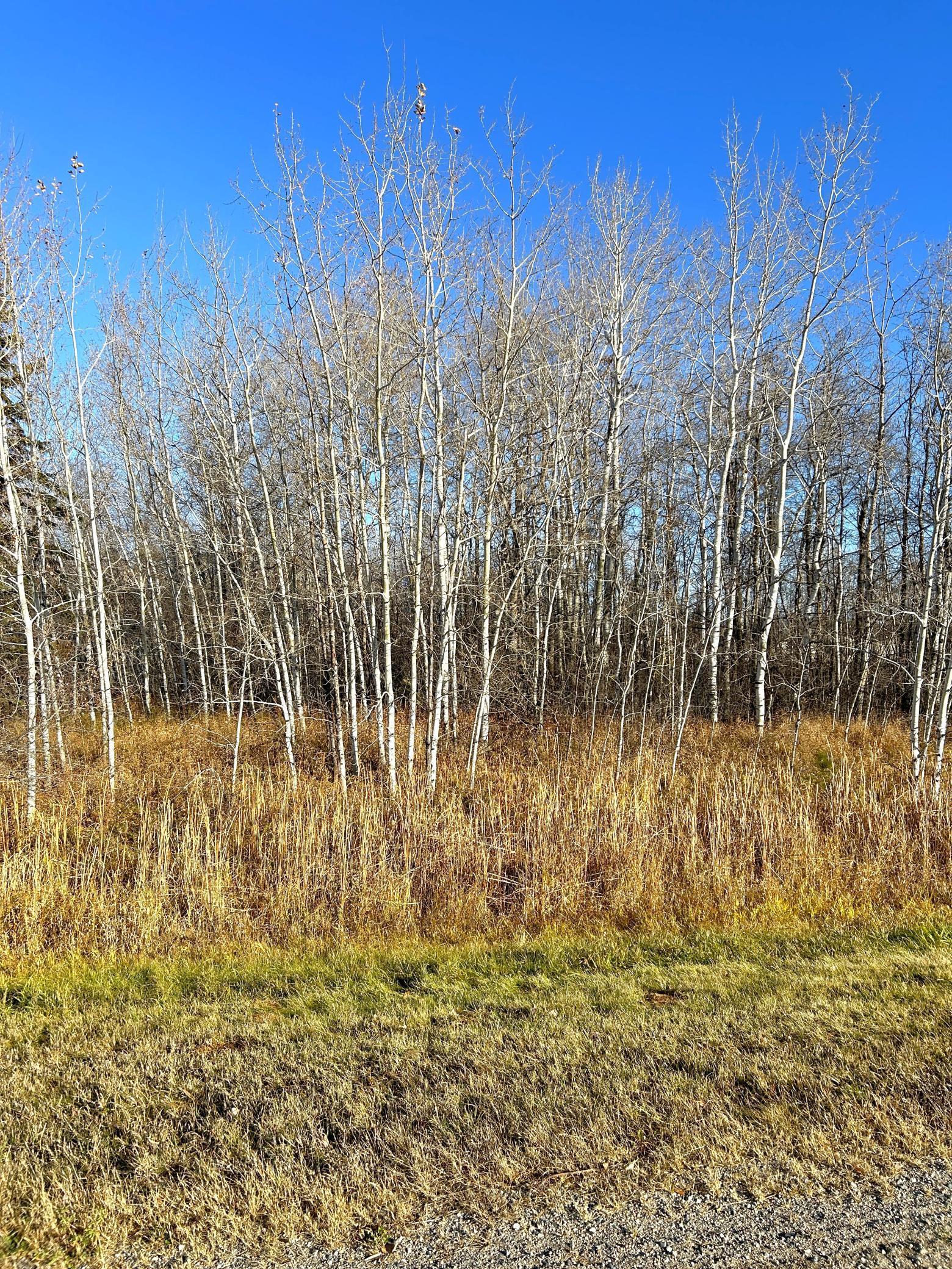 land for sale at 36615 County Road 13 in Warroad, MN (photo 13 of 14)
