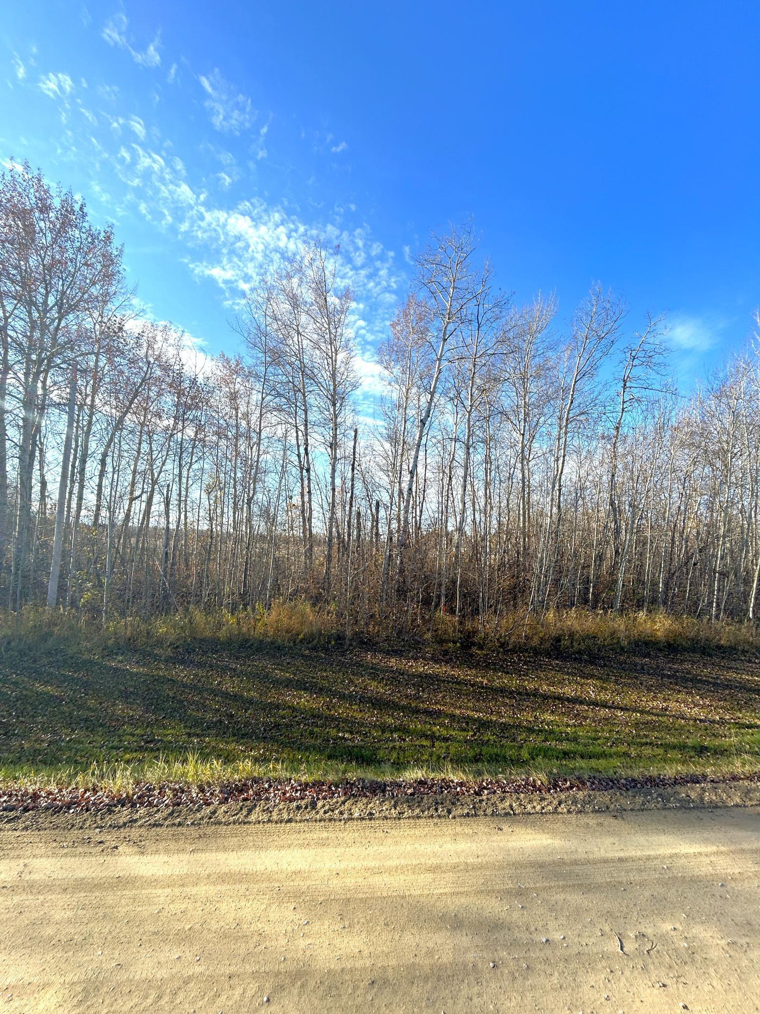 land for sale at 36615 County Road 13 in Warroad, MN (photo 5 of 14)