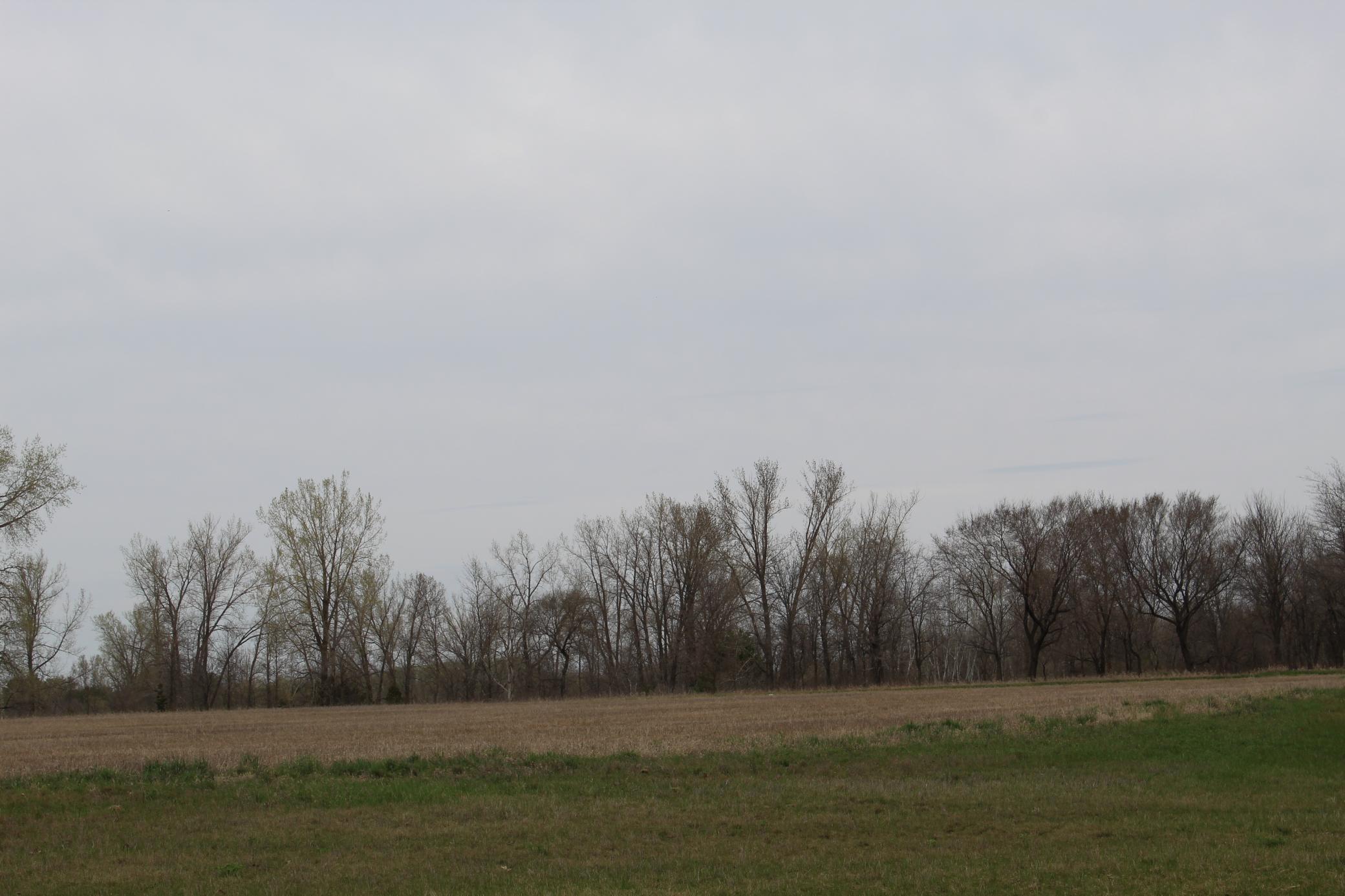 land for sale at TBD S Broadway in Alexandria, MN (photo 6 of 16)