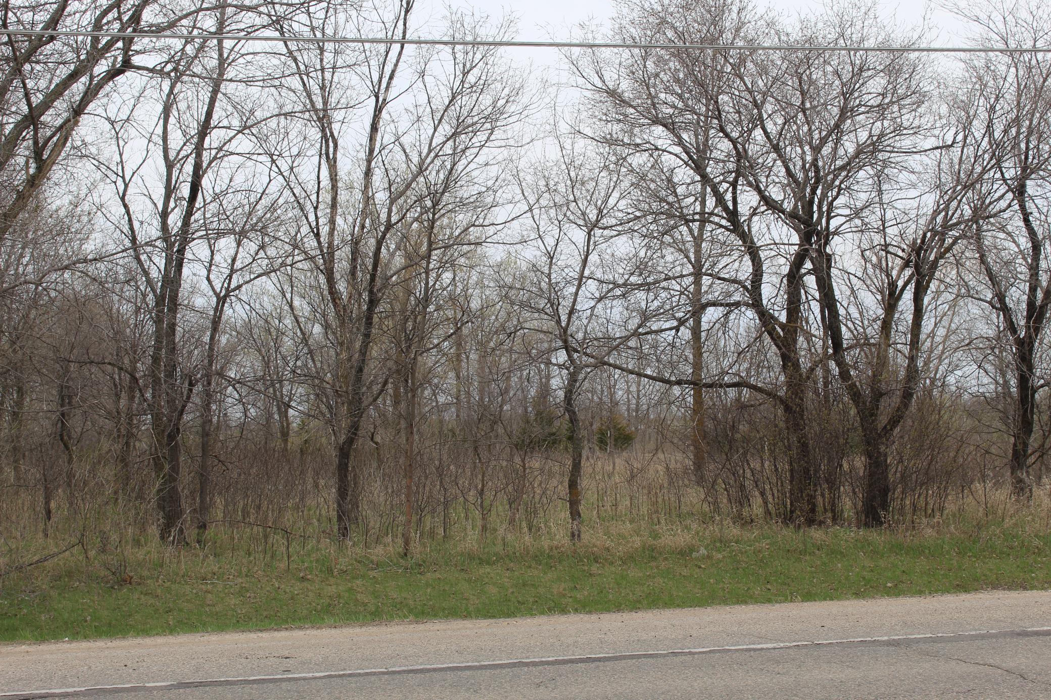 land for sale at TBD S Broadway in Alexandria, MN (photo 7 of 16)