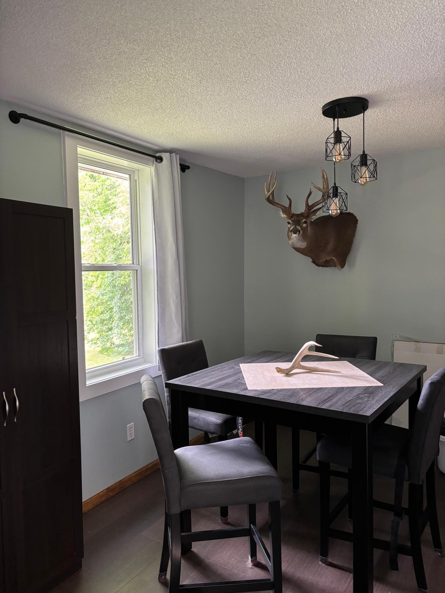 1900 single family home for sale at 40149 181st Street in Wannaska, MN — 2 bed, 1 bath (photo 4 of 15)