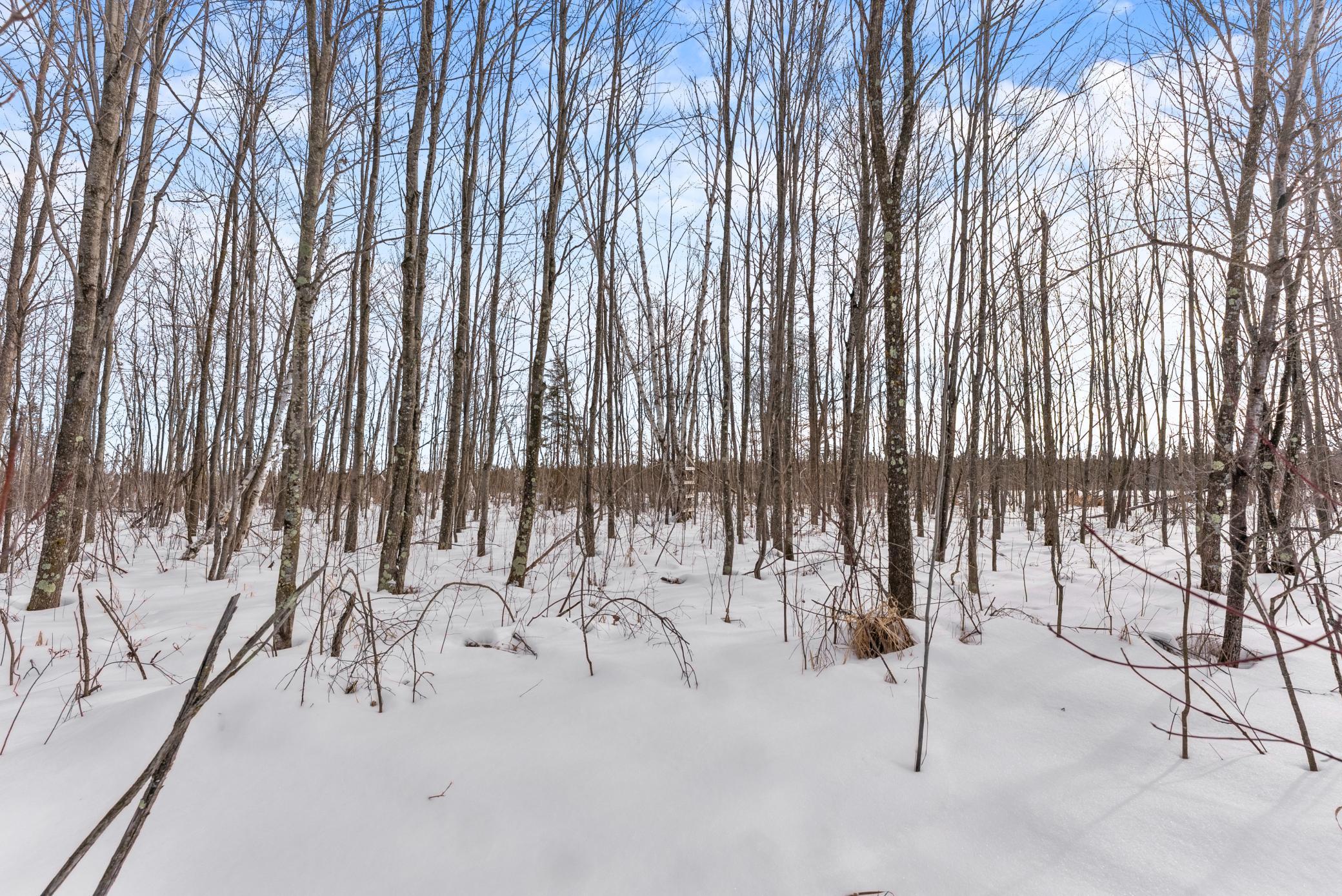 land for sale at TBD Eldorado in Garrison, MN (photo 12 of 16)