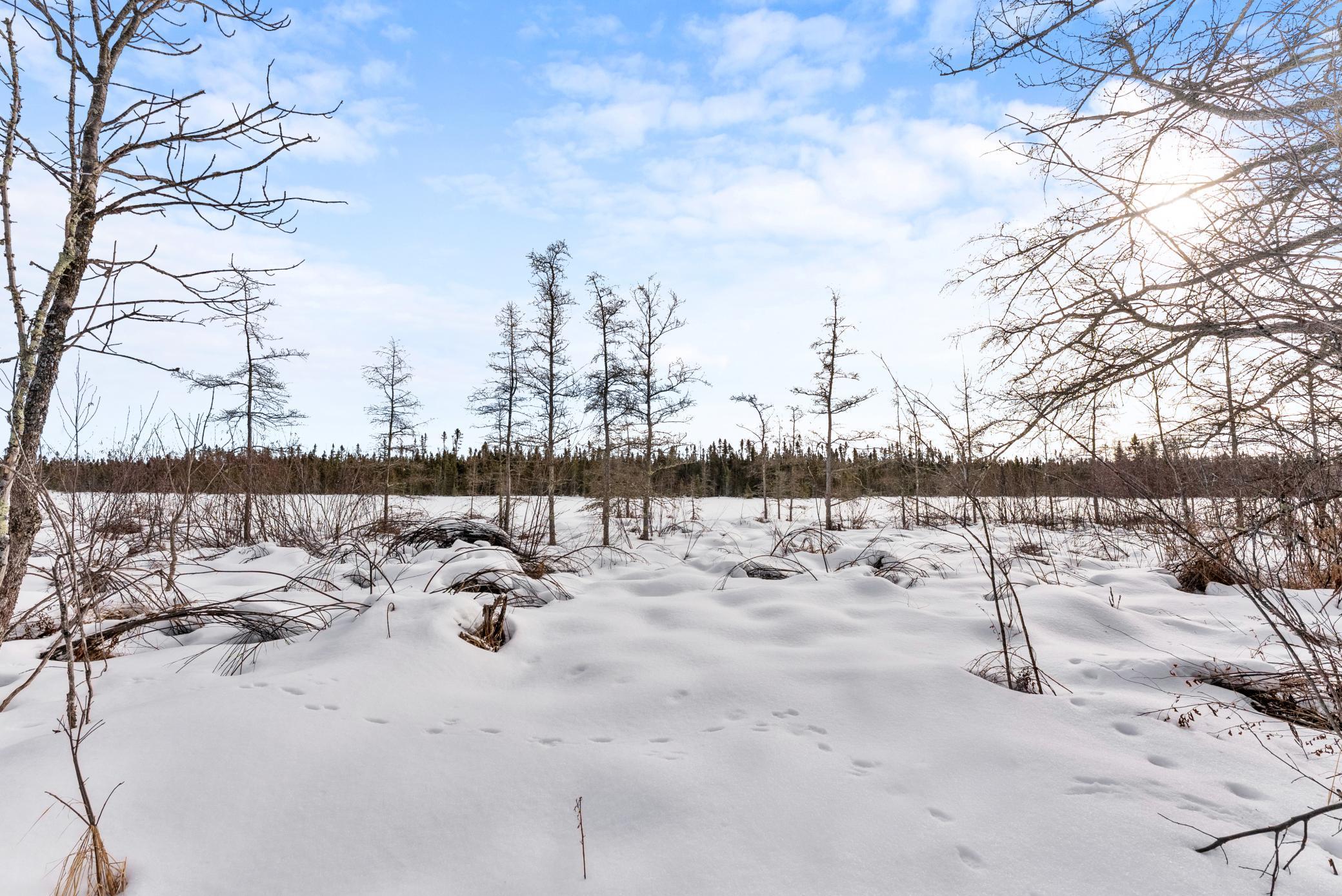 land for sale at TBD Eldorado in Garrison, MN (photo 13 of 16)