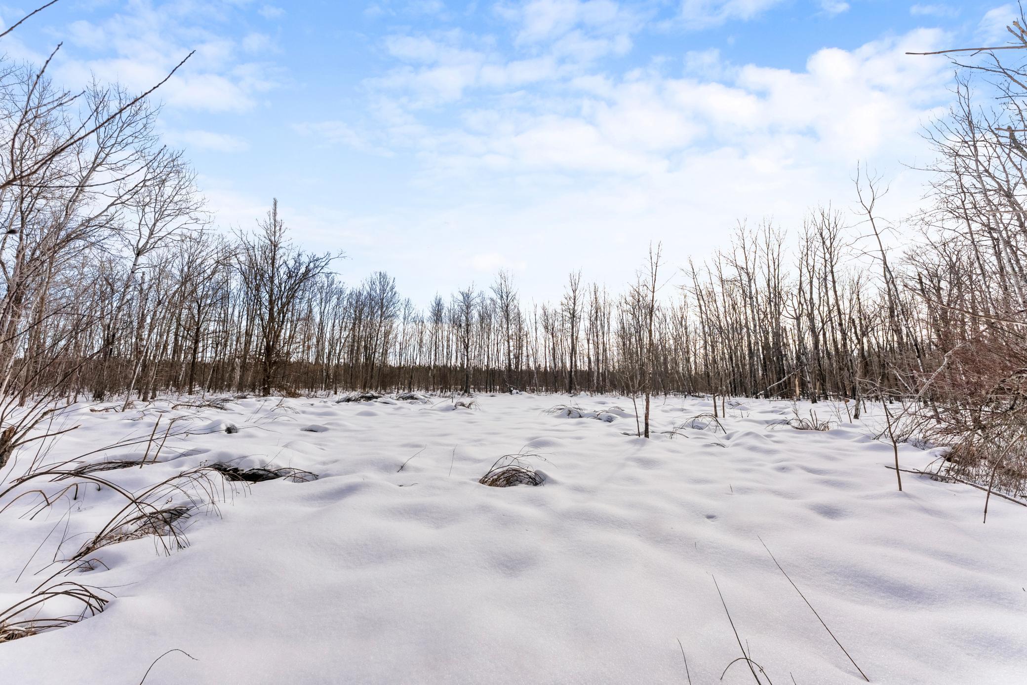 land for sale at TBD Eldorado in Garrison, MN (photo 9 of 16)