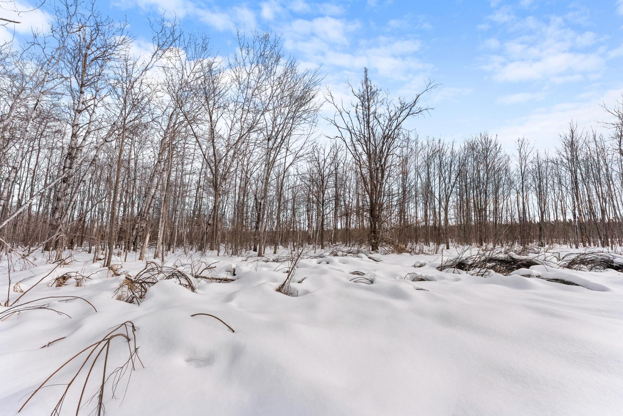 land for sale at TBD Eldorado in Garrison, MN (photo 10 of 16)