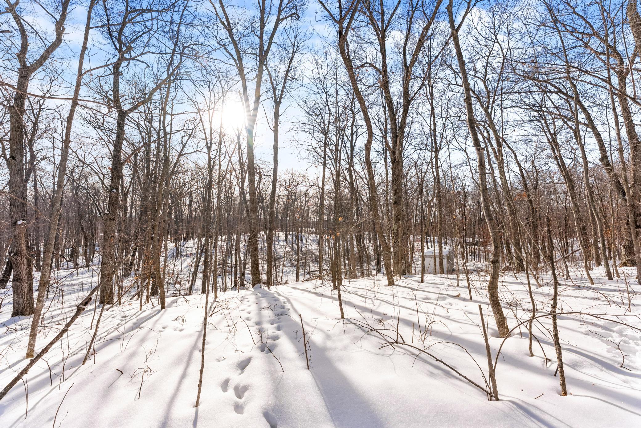 land for sale at TBD Chestnut Ln in Garrison, MN (photo 11 of 13)