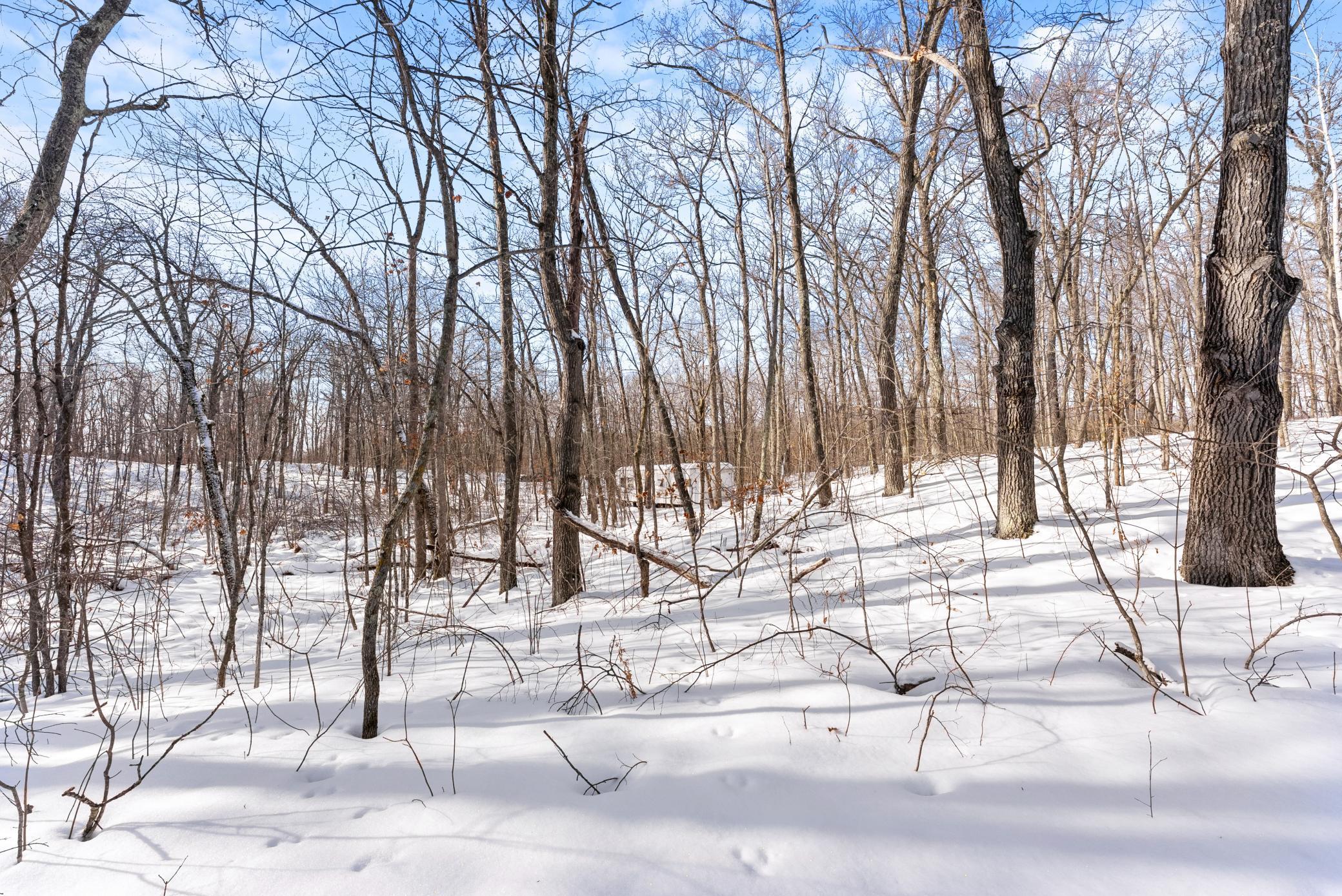 land for sale at TBD Chestnut Ln in Garrison, MN (photo 12 of 13)
