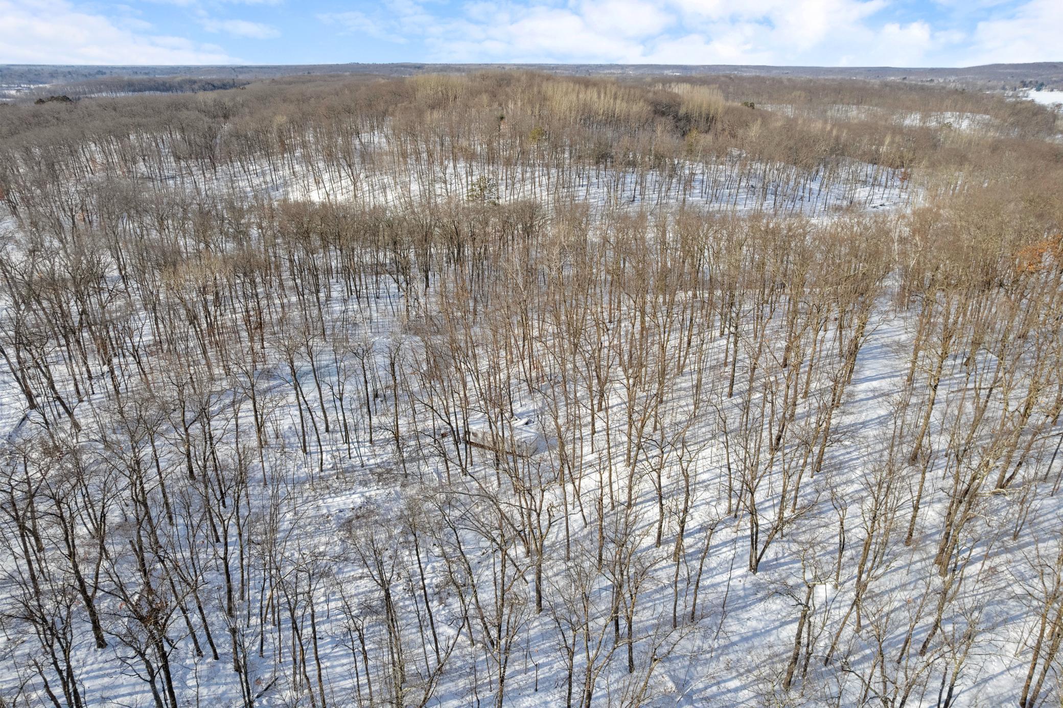 land for sale at TBD Chestnut Ln in Garrison, MN (photo 3 of 13)