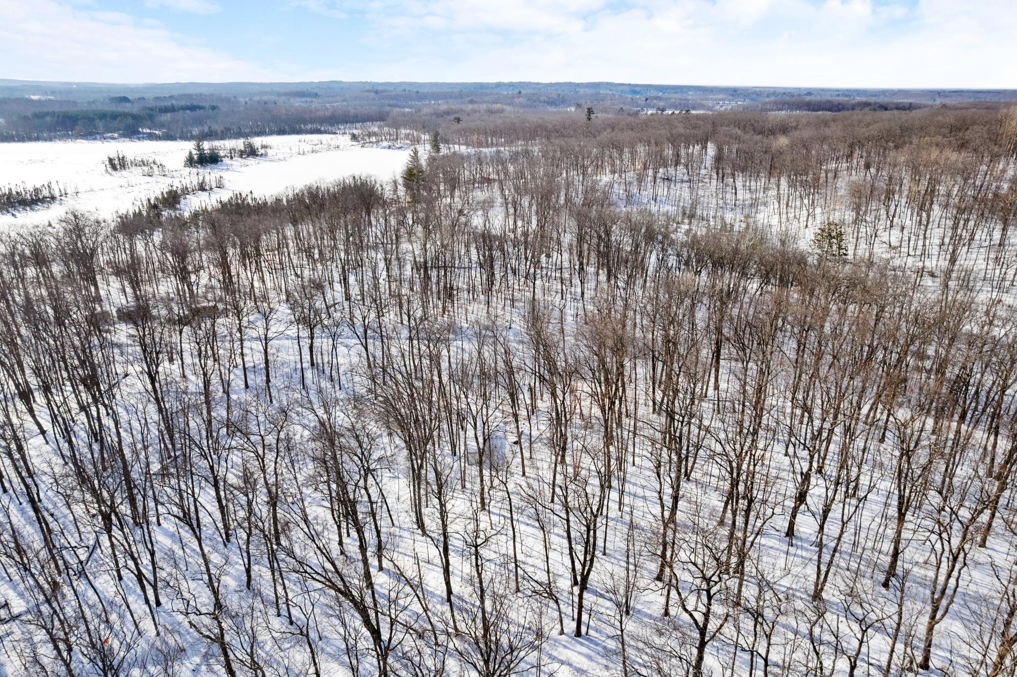 land for sale at TBD Chestnut Ln in Garrison, MN (photo 4 of 13)