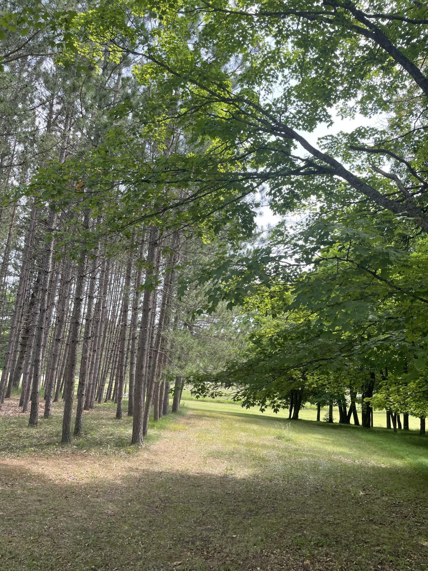 1996 single family home for sale at 33820 County Highway 34 in Ogema, MN — 3 bed, 3 bath (photo 11 of 11)