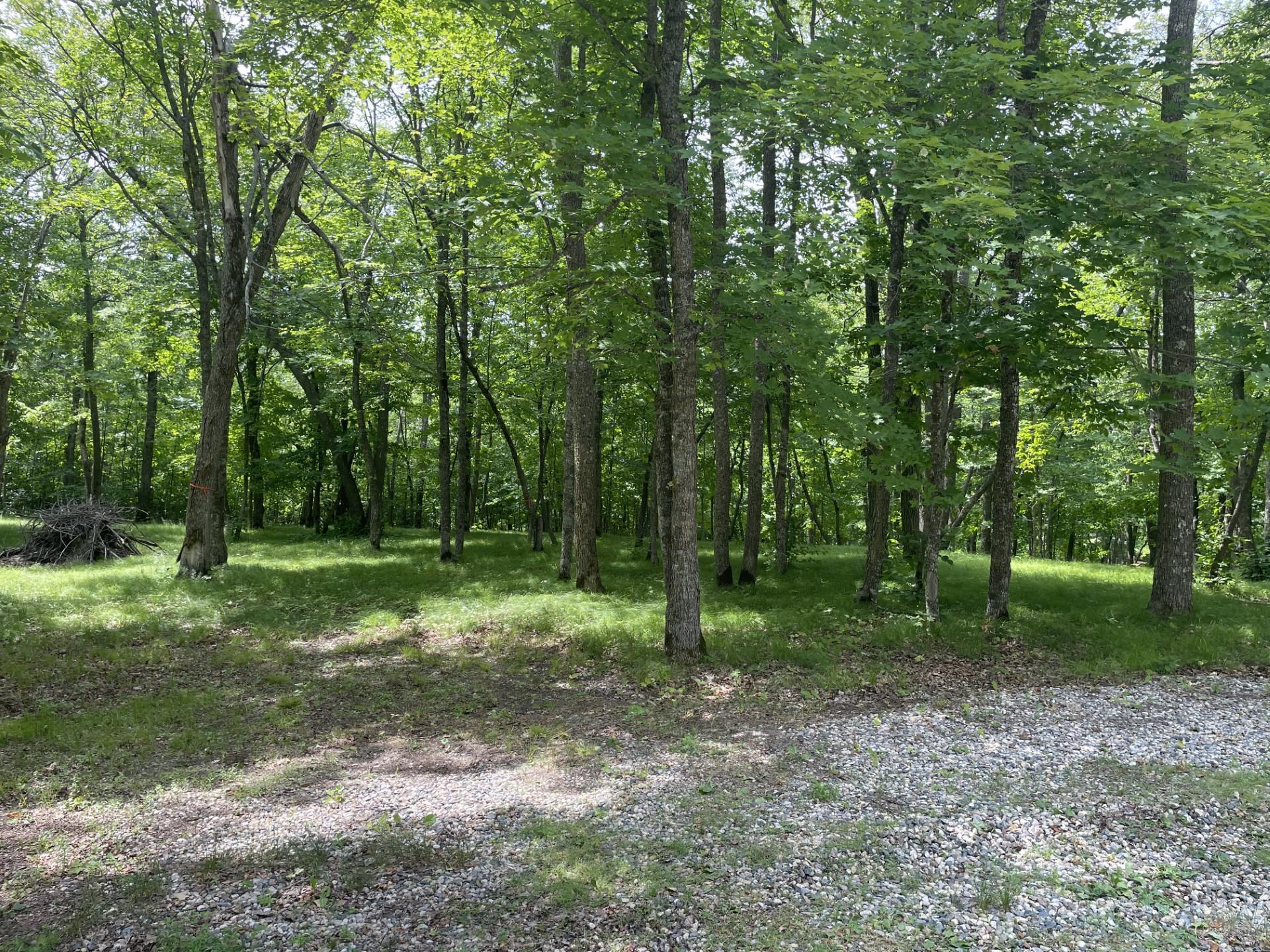1996 single family home for sale at 33820 County Highway 34 in Ogema, MN — 3 bed, 3 bath (photo 6 of 11)