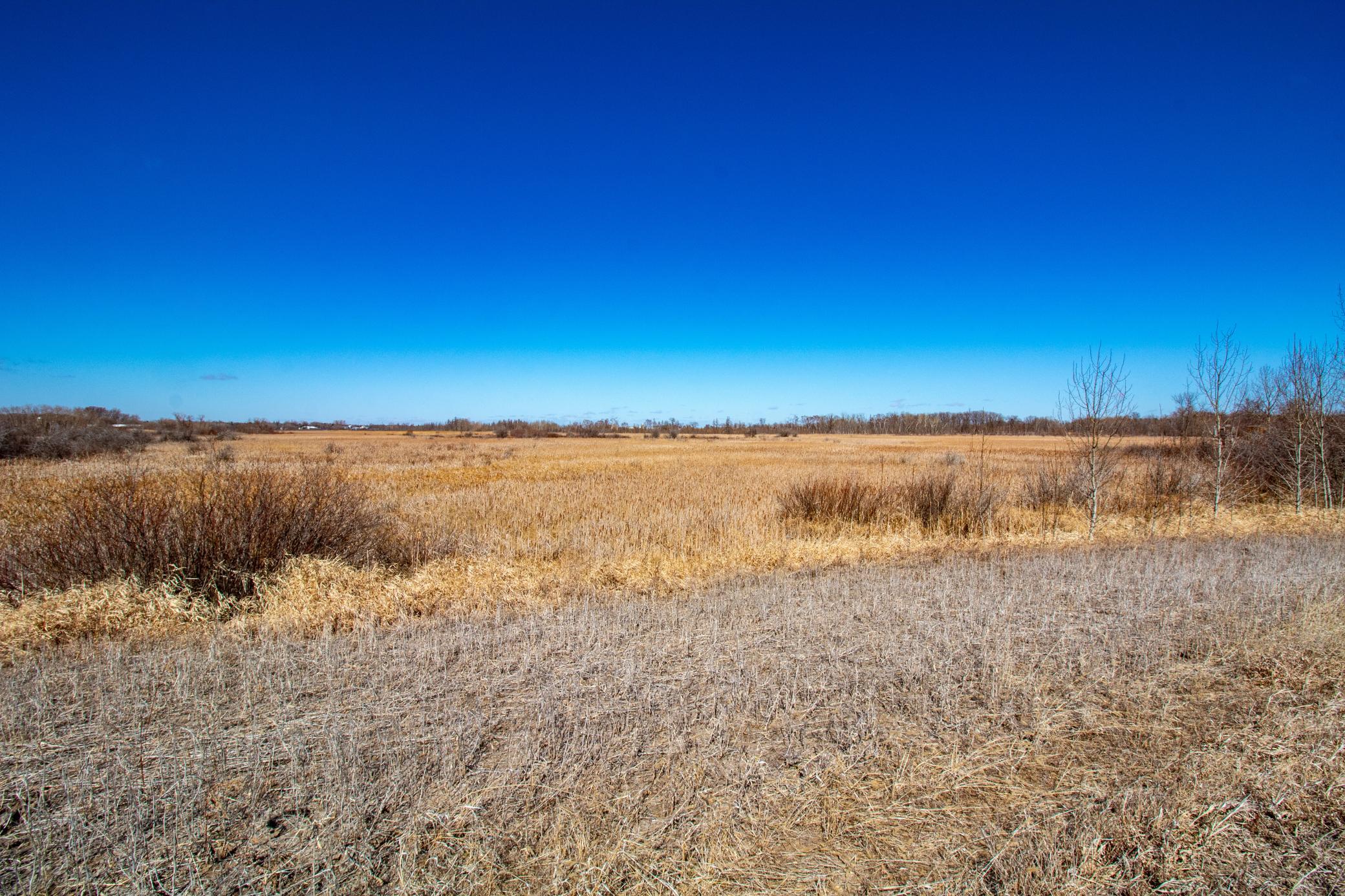 land for sale at 37675 395th Street in Dent, MN (photo 2 of 18)
