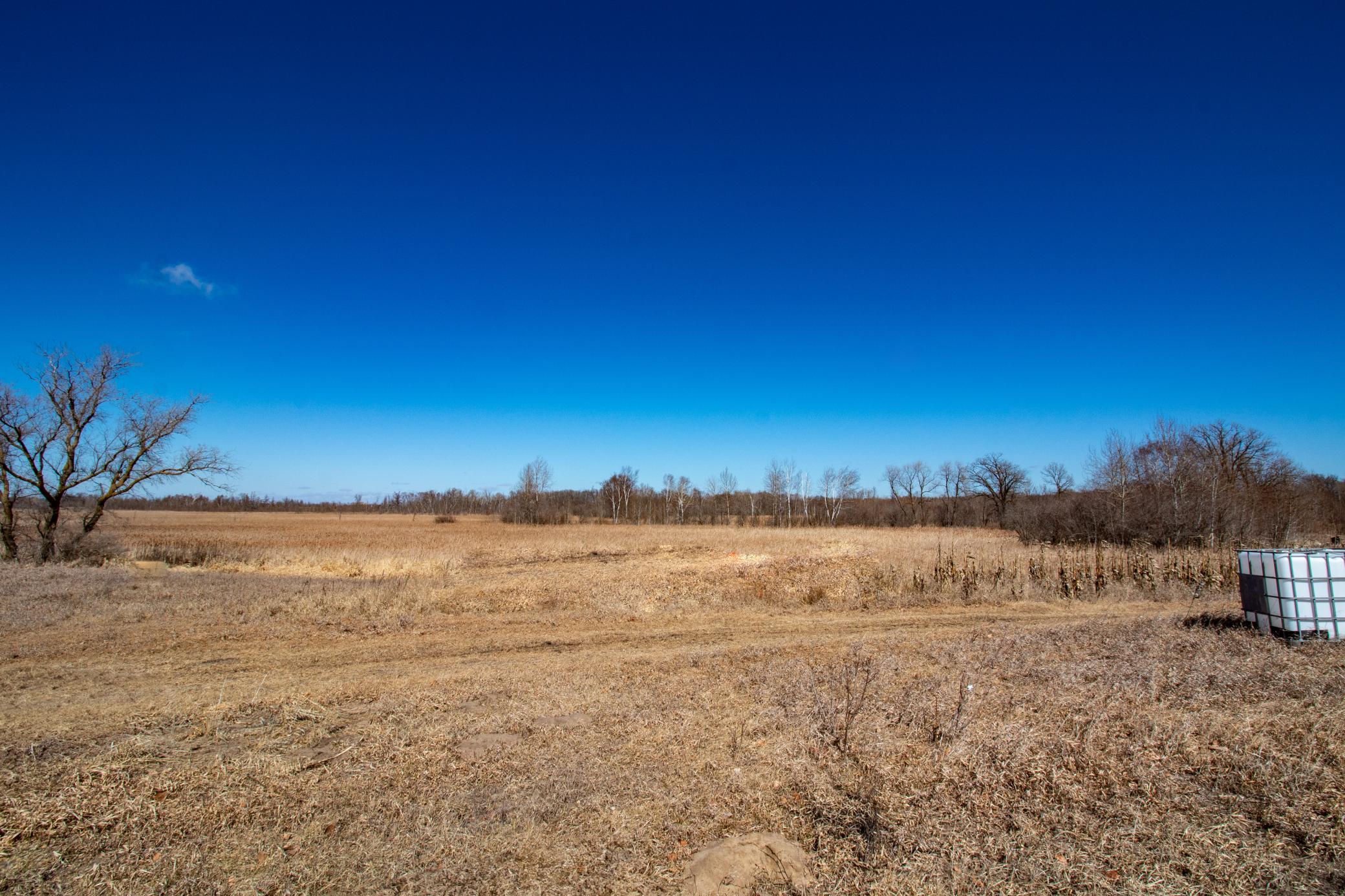 land for sale at 37675 395th Street in Dent, MN (photo 11 of 18)