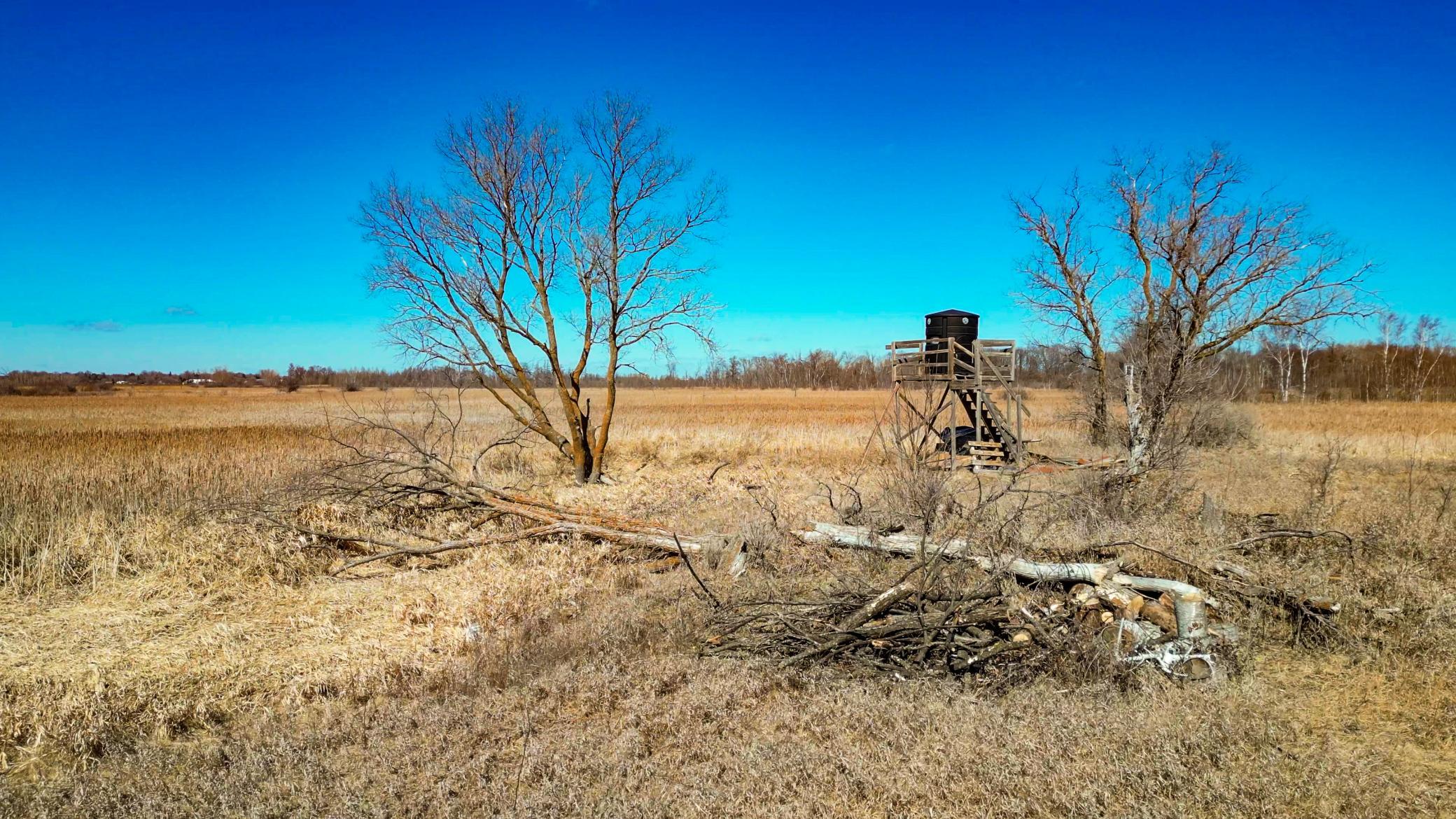 land for sale at 37675 395th Street in Dent, MN (photo 13 of 18)