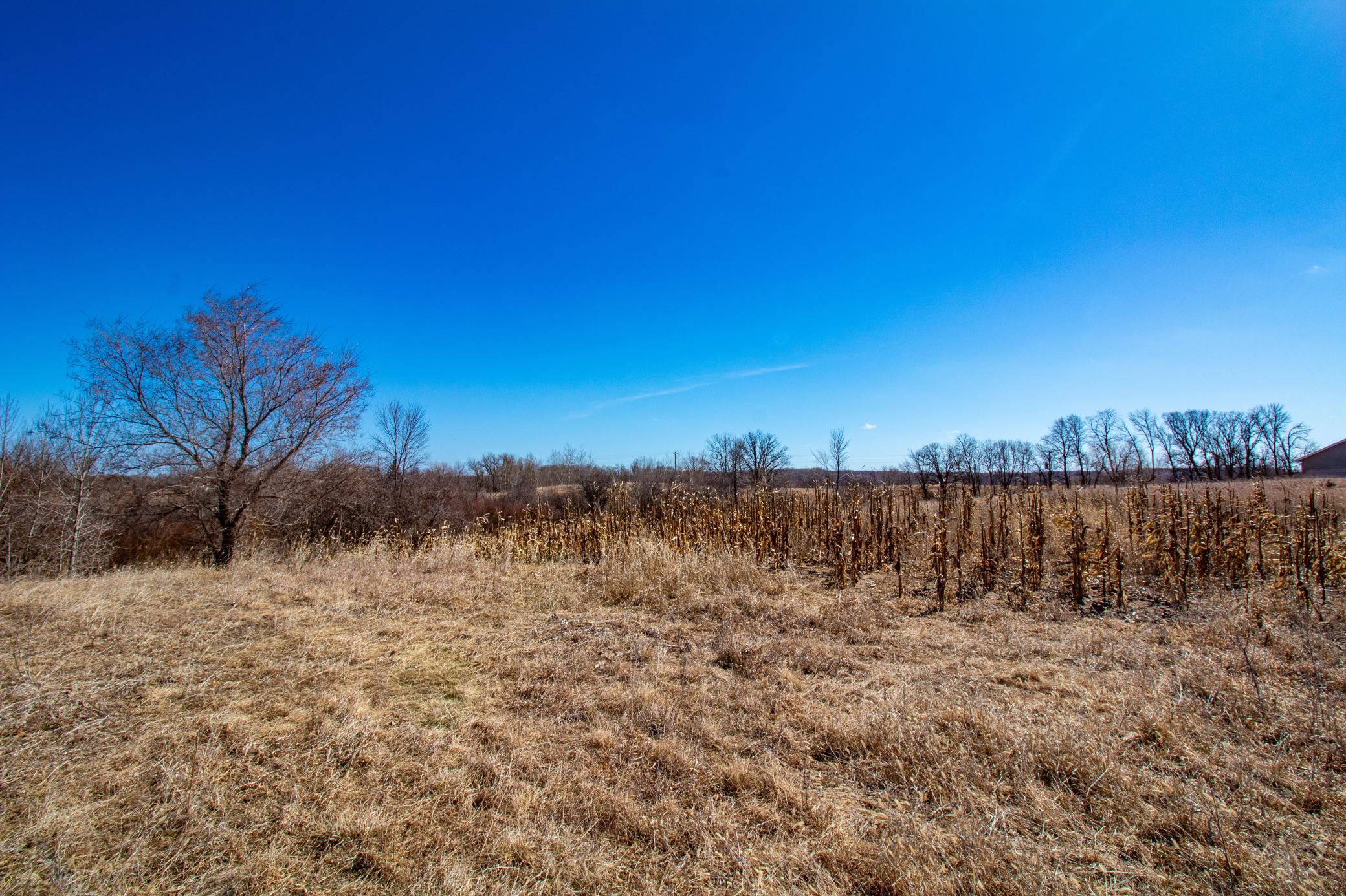 land for sale at 37675 395th Street in Dent, MN (photo 3 of 18)