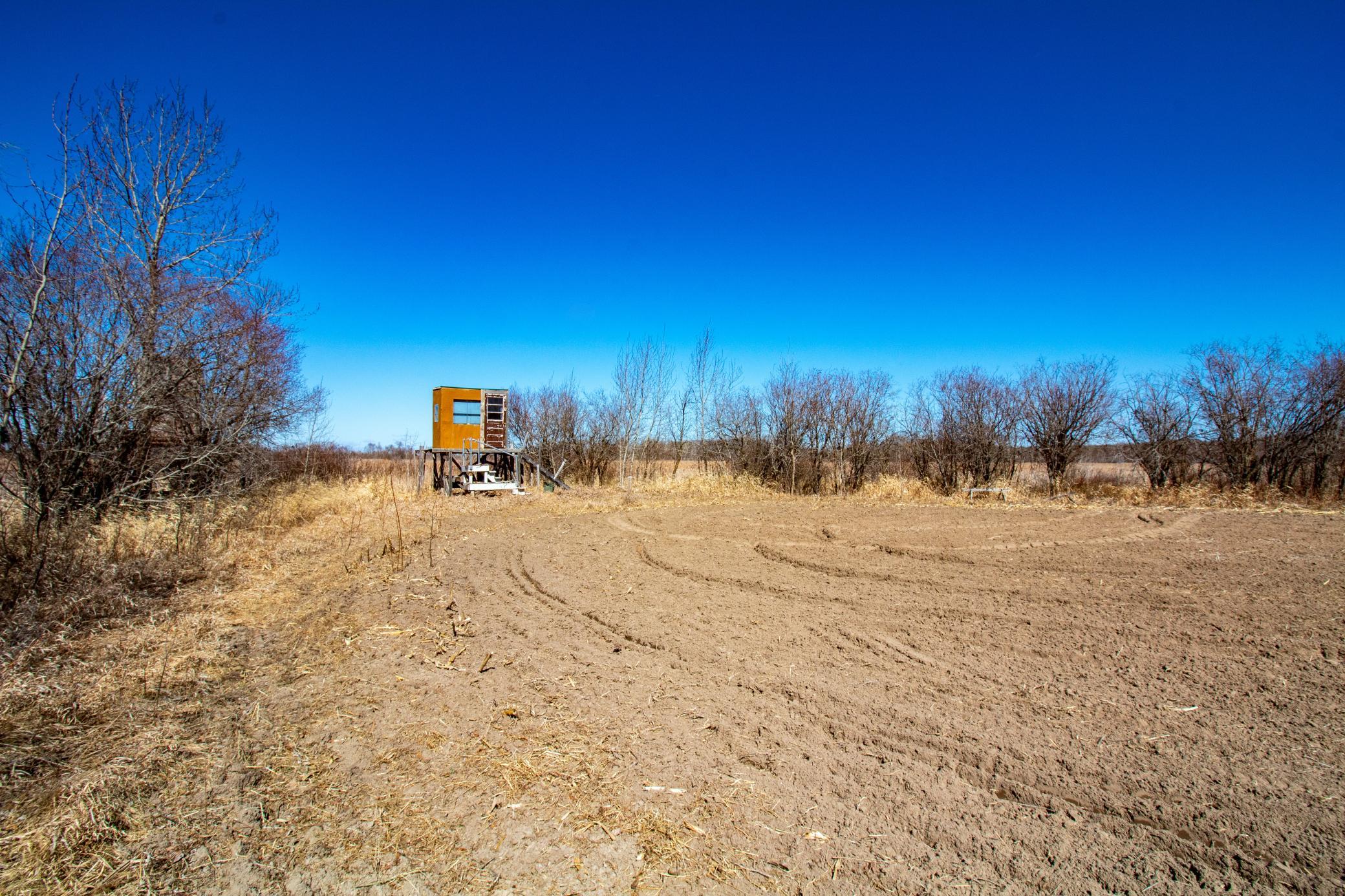 land for sale at 37675 395th Street in Dent, MN (photo 4 of 18)