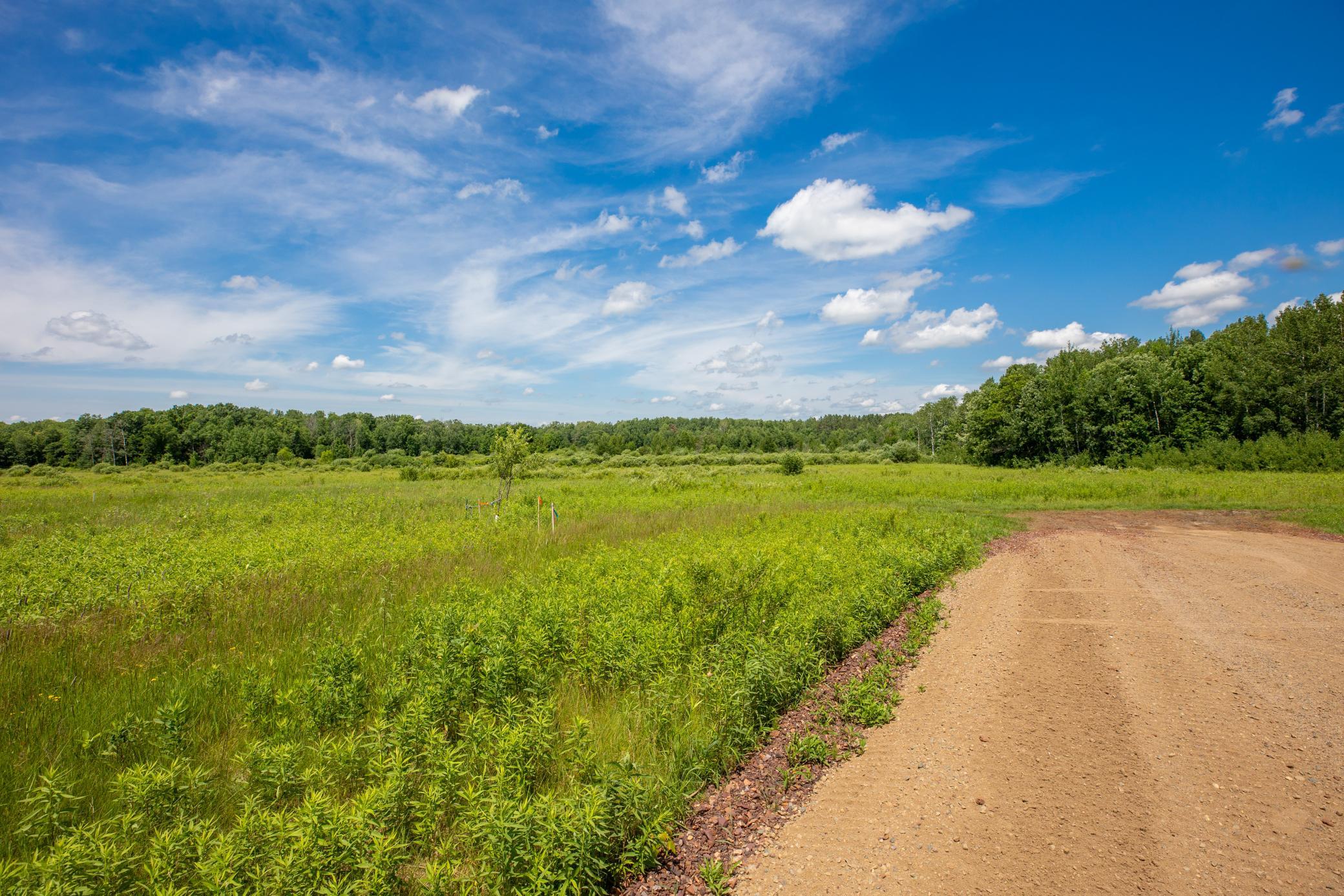 land for sale at Tract C County Road 30 in Aitkin, MN (photo 5 of 12)