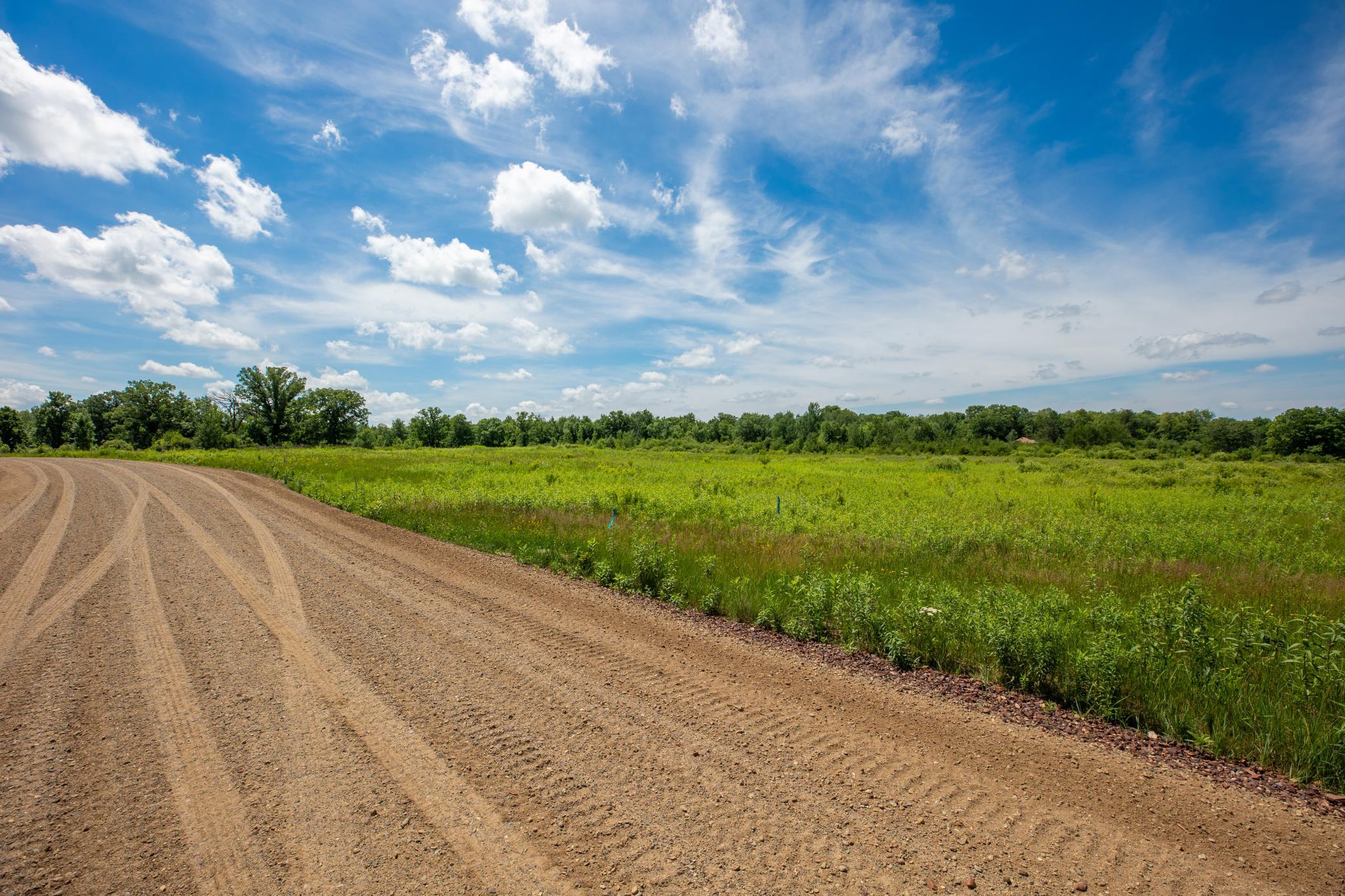 land for sale at Tract D County Road 30 in Aitkin, MN (photo 6 of 14)